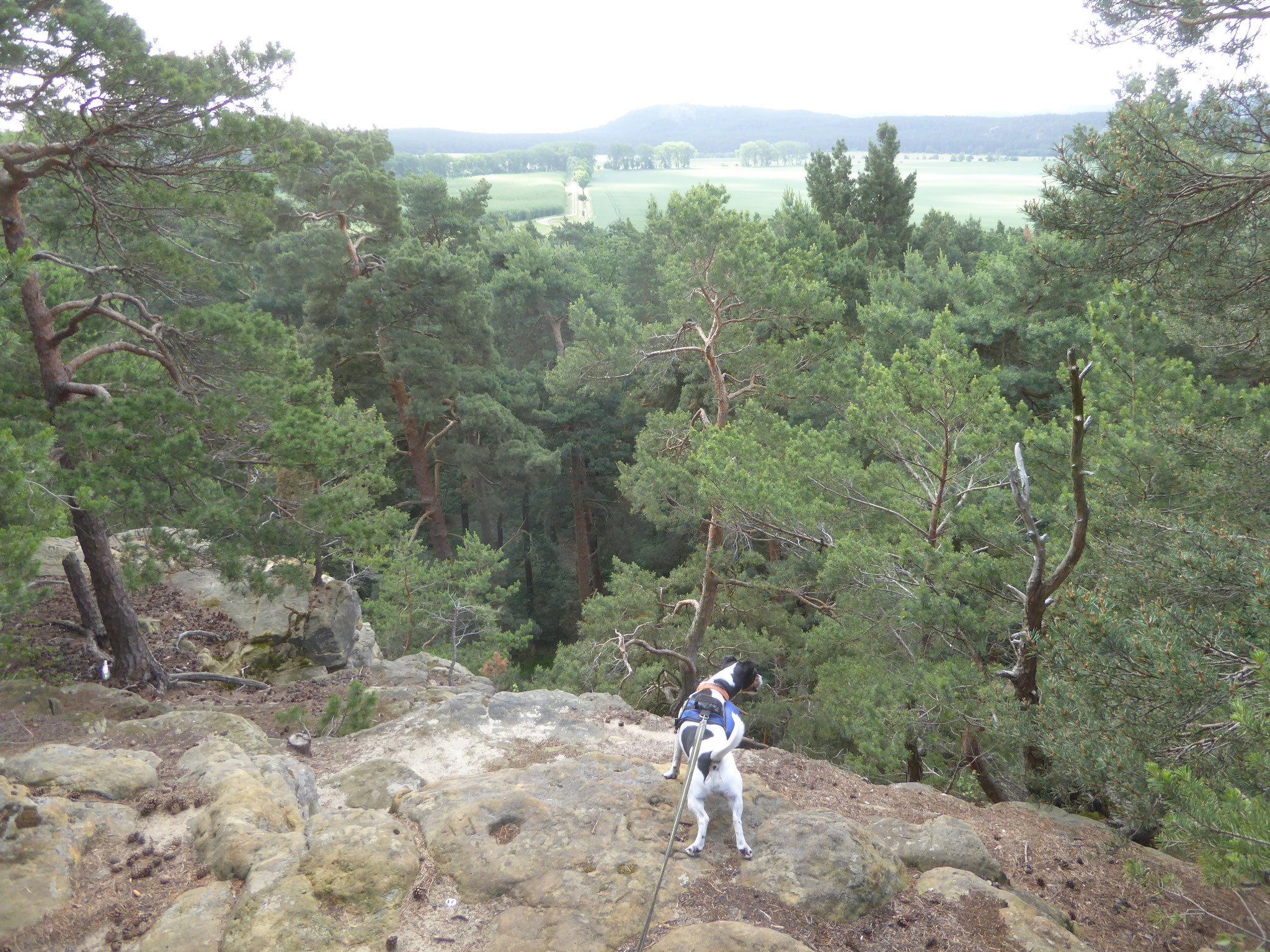 Der Blick vom Felsen