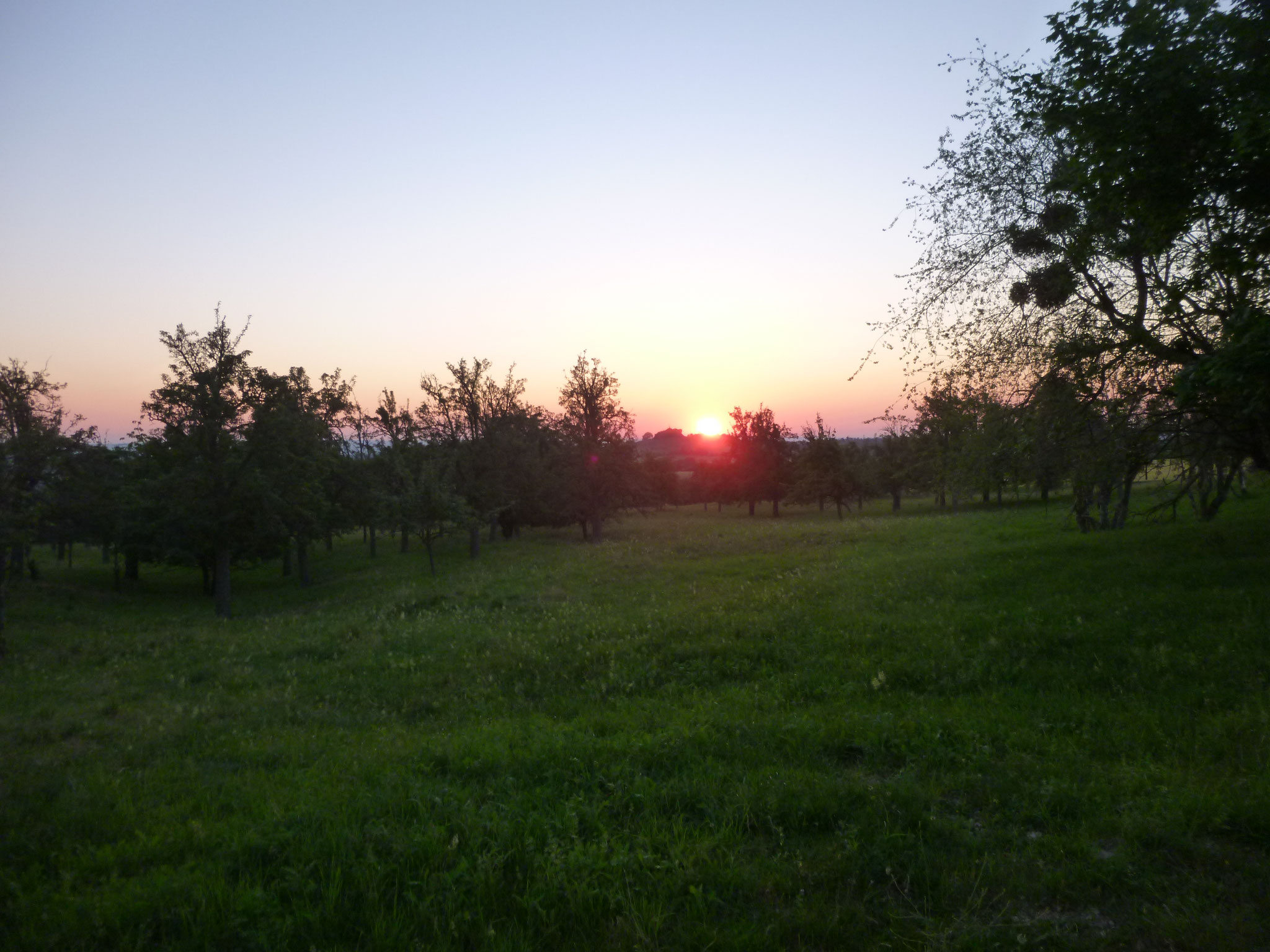 Der Sonnenaufgang vom Steinberg aus gesehen