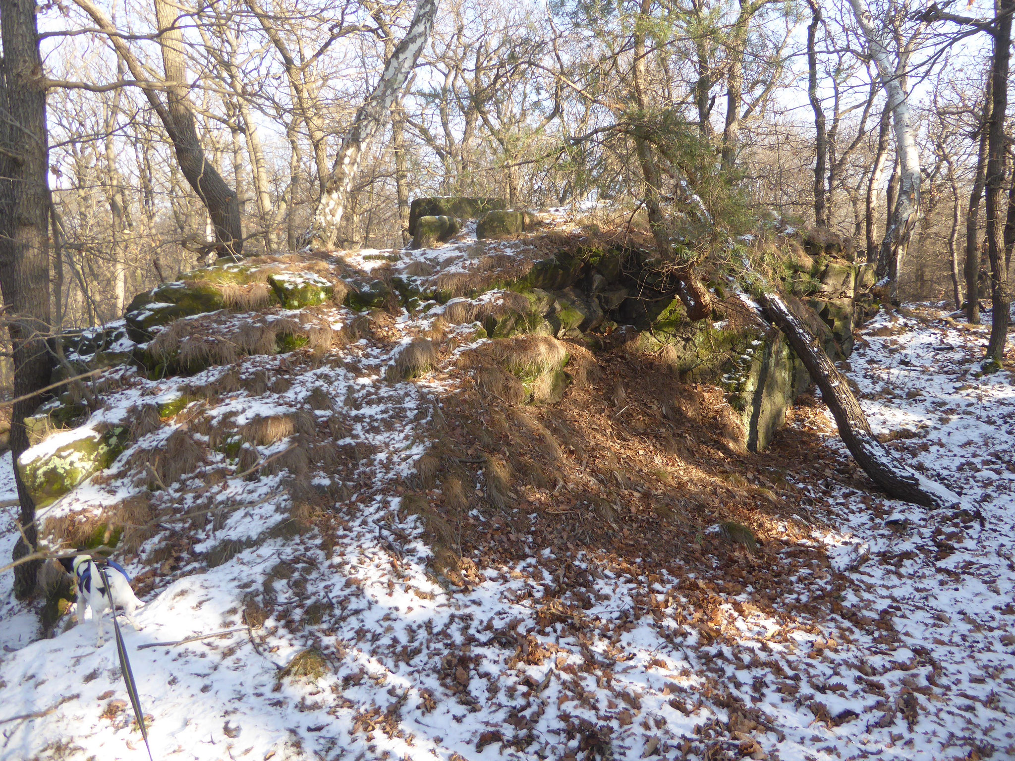 Der Restfelsen vom "Brockenblick" im Steinholz