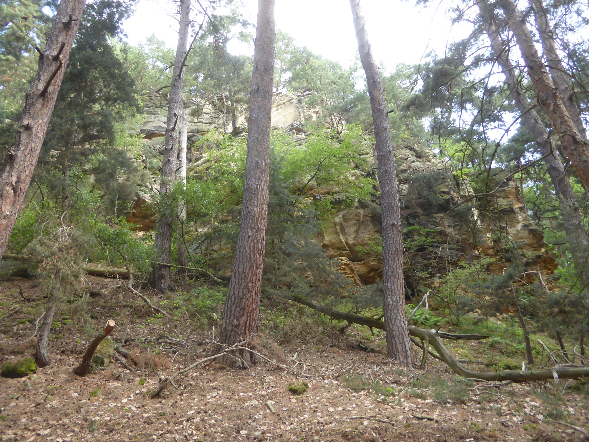 Der große Thyrstein mit seiner Wand
