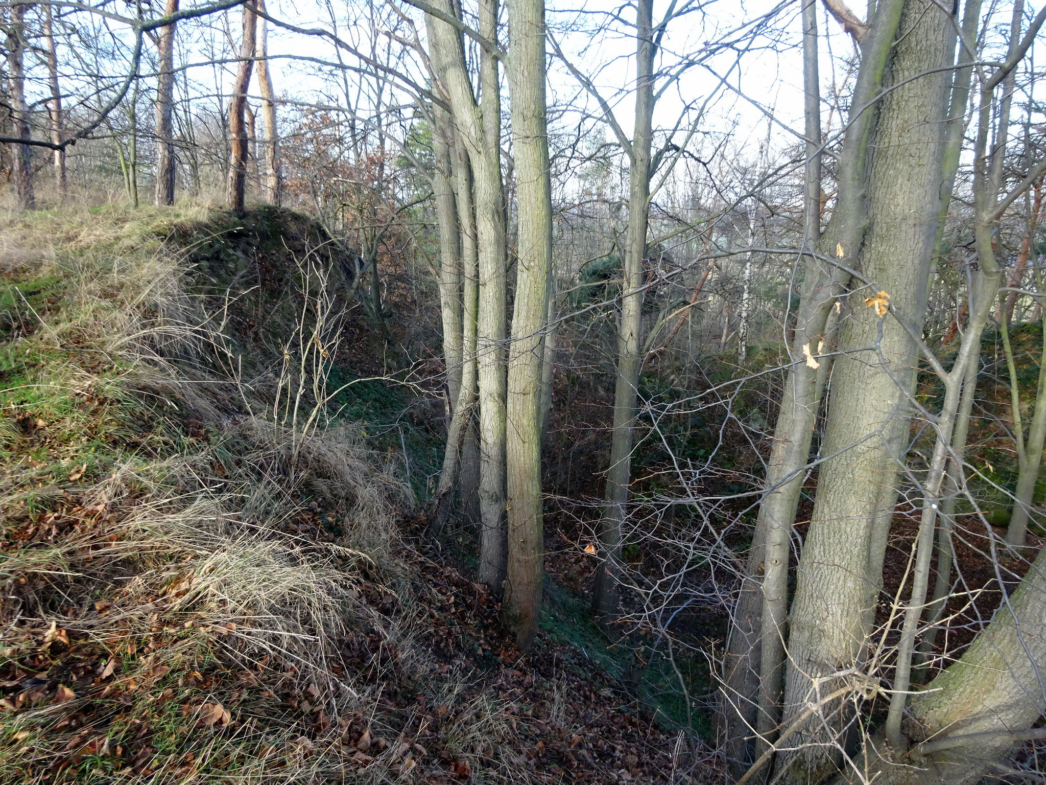 Schlucht im Felsen, alter Steinbruch.