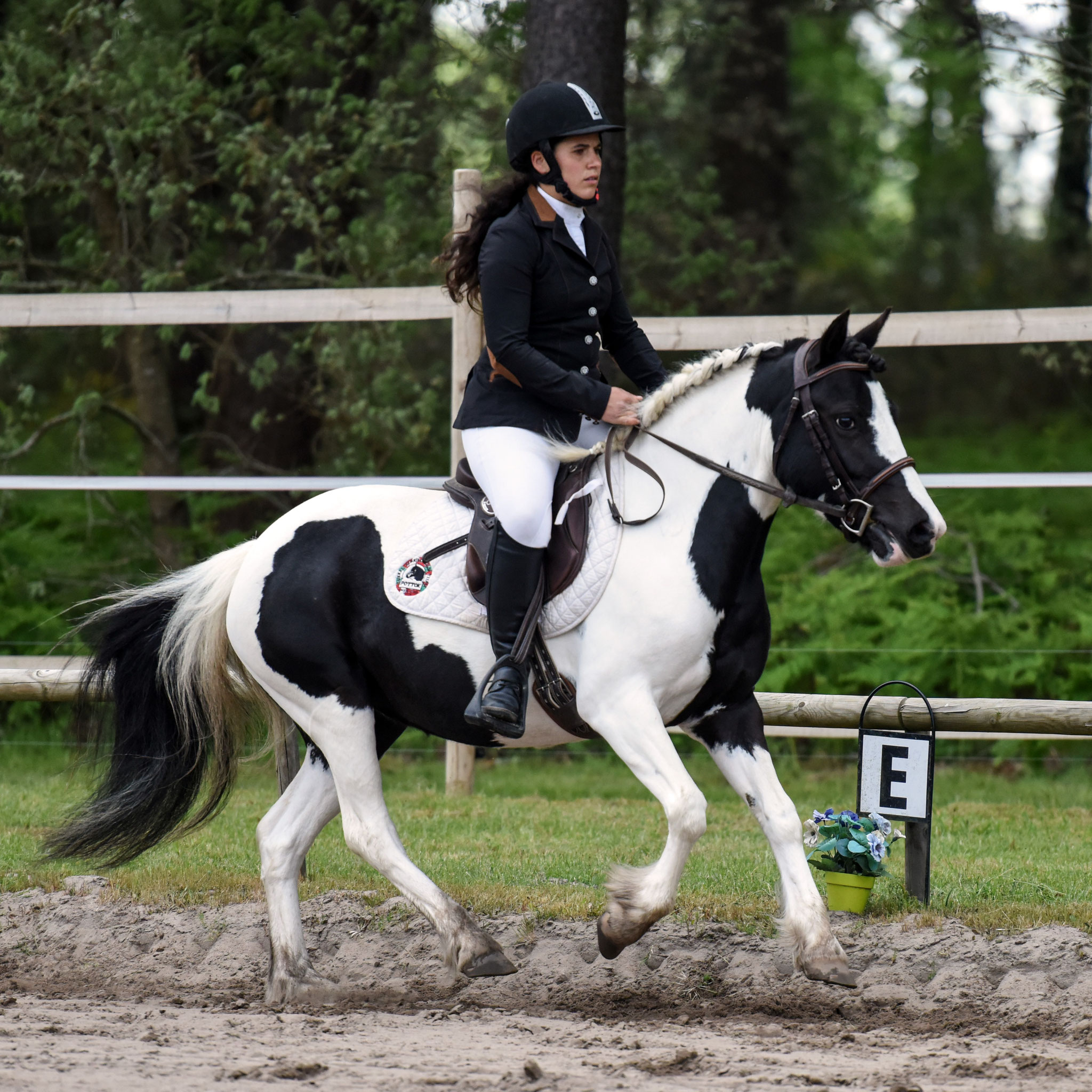 Dressage à Lucbardez, photo par Victoria Bordes Photographie