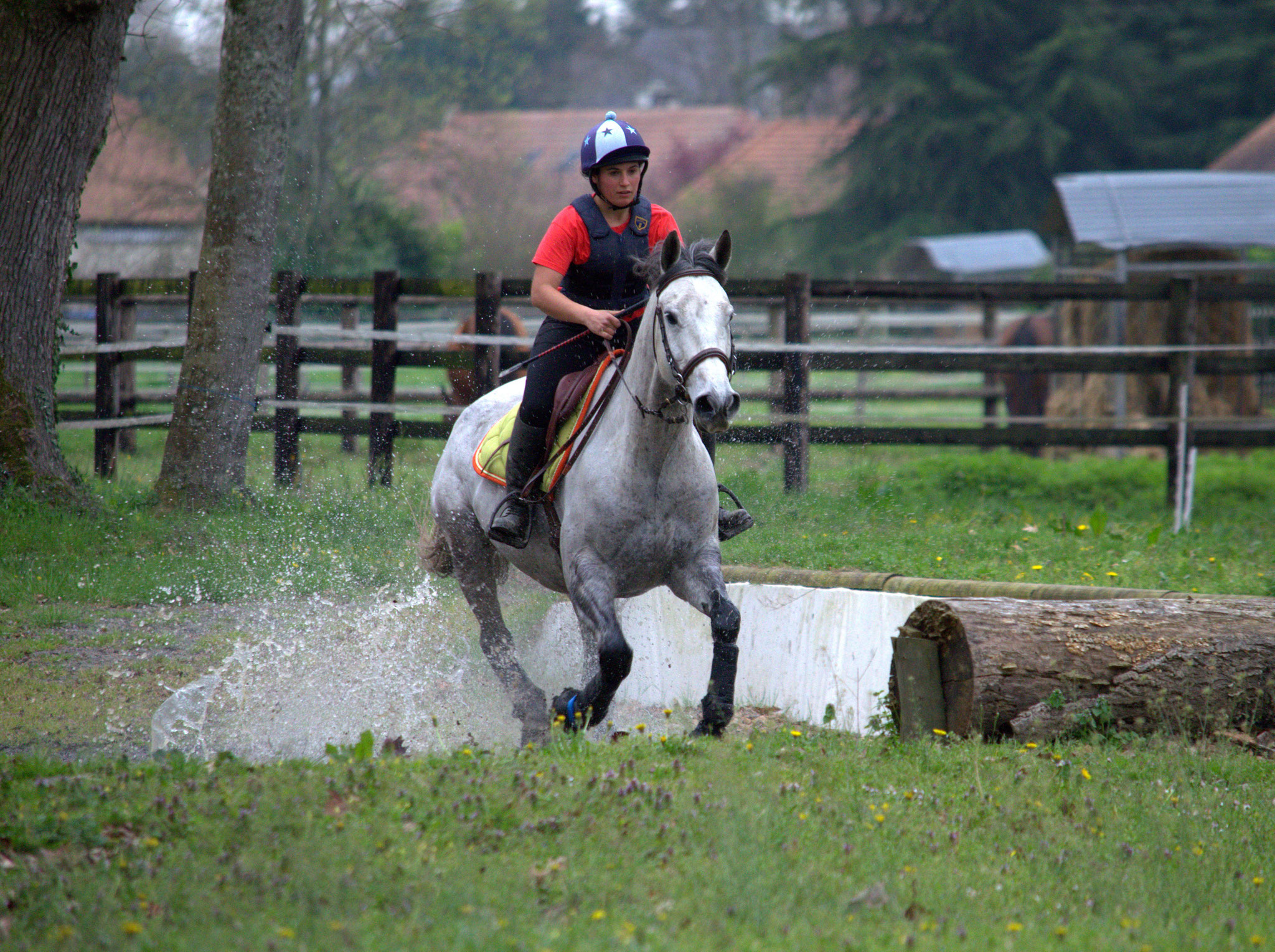 Urusk, entraînement cross au Haras de Gelos en 2017