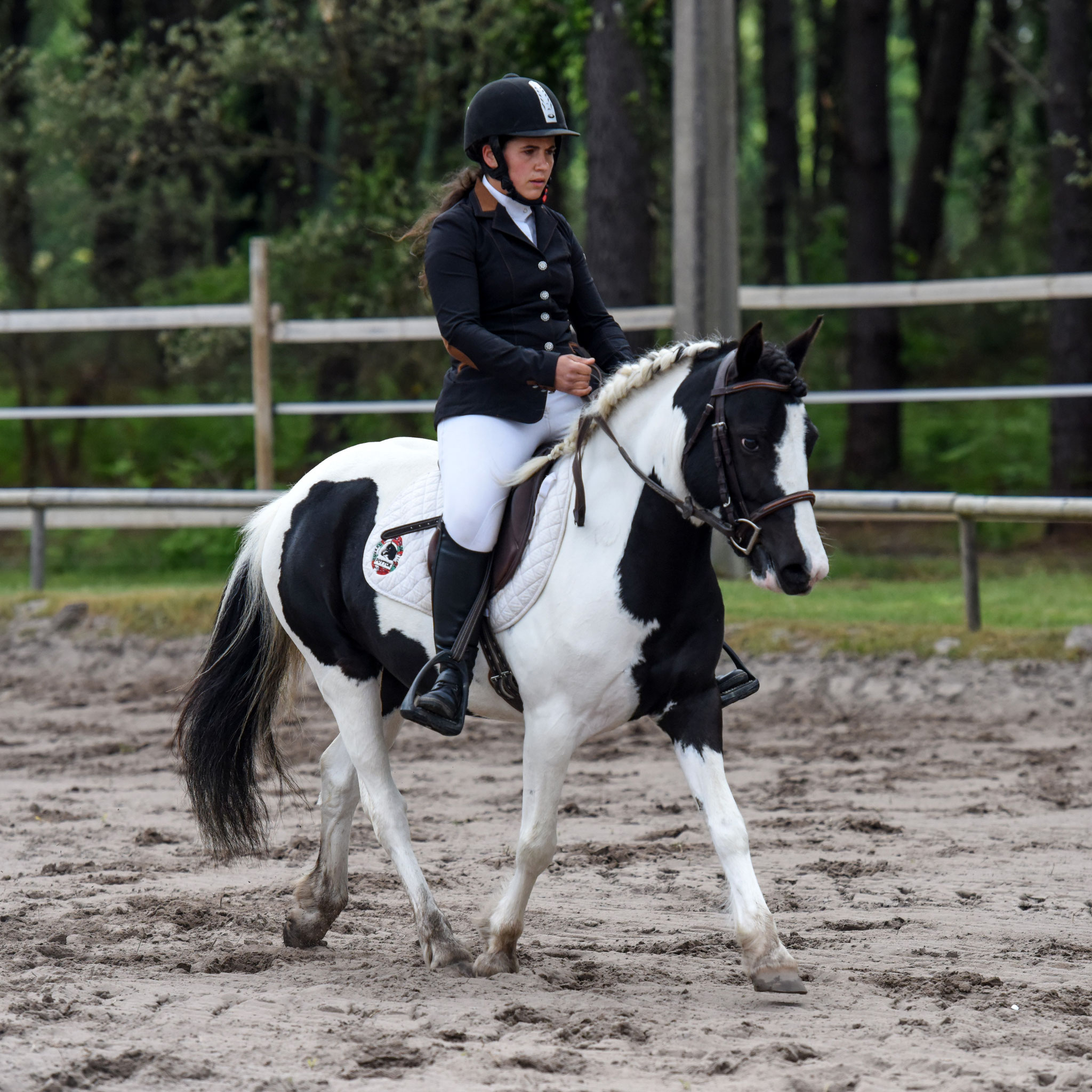 Dressage à Lucbardez, photo par Victoria Bordes Photographie