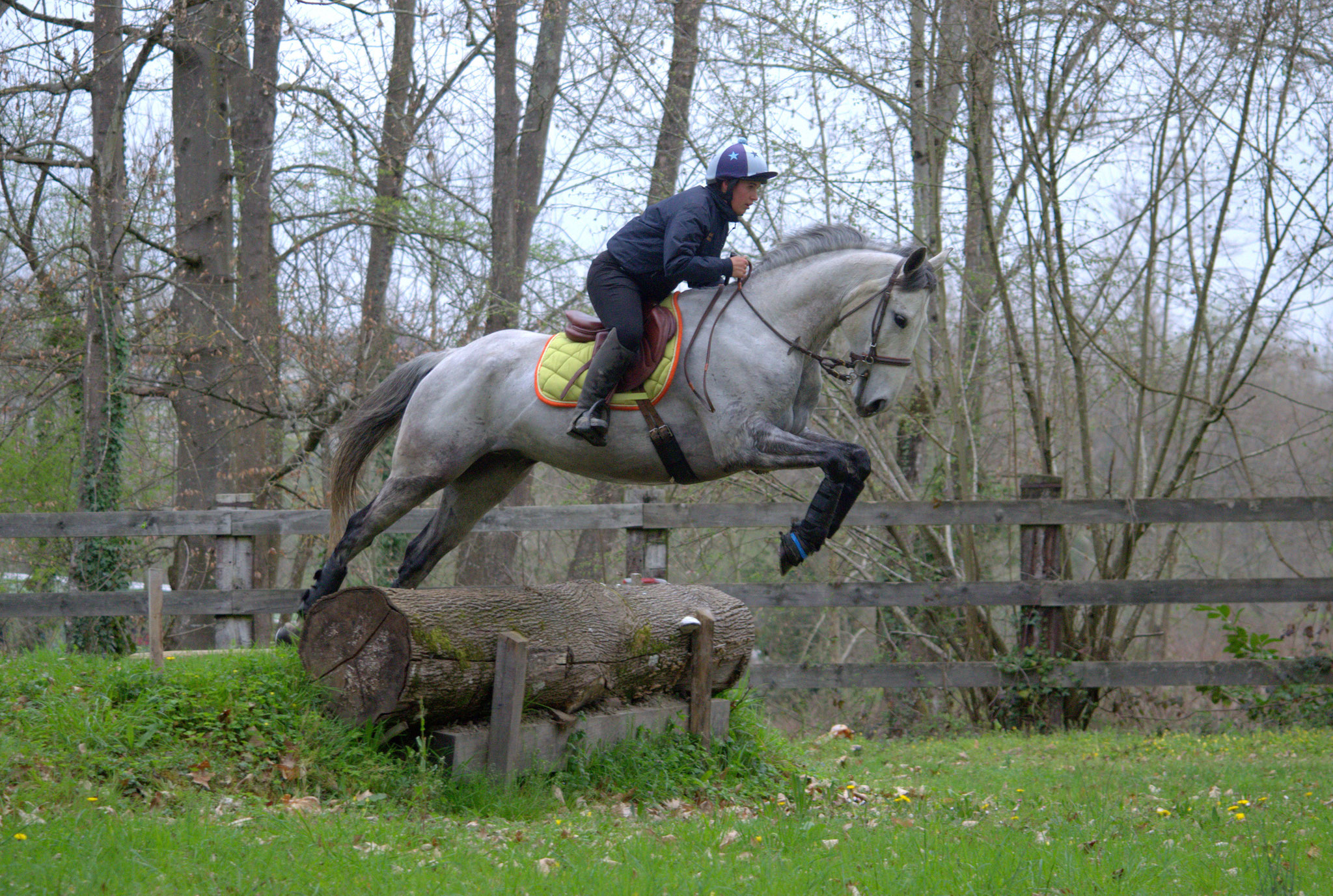Urusk Petit Prince, entraînement cross au Haras de Gelos en 2017