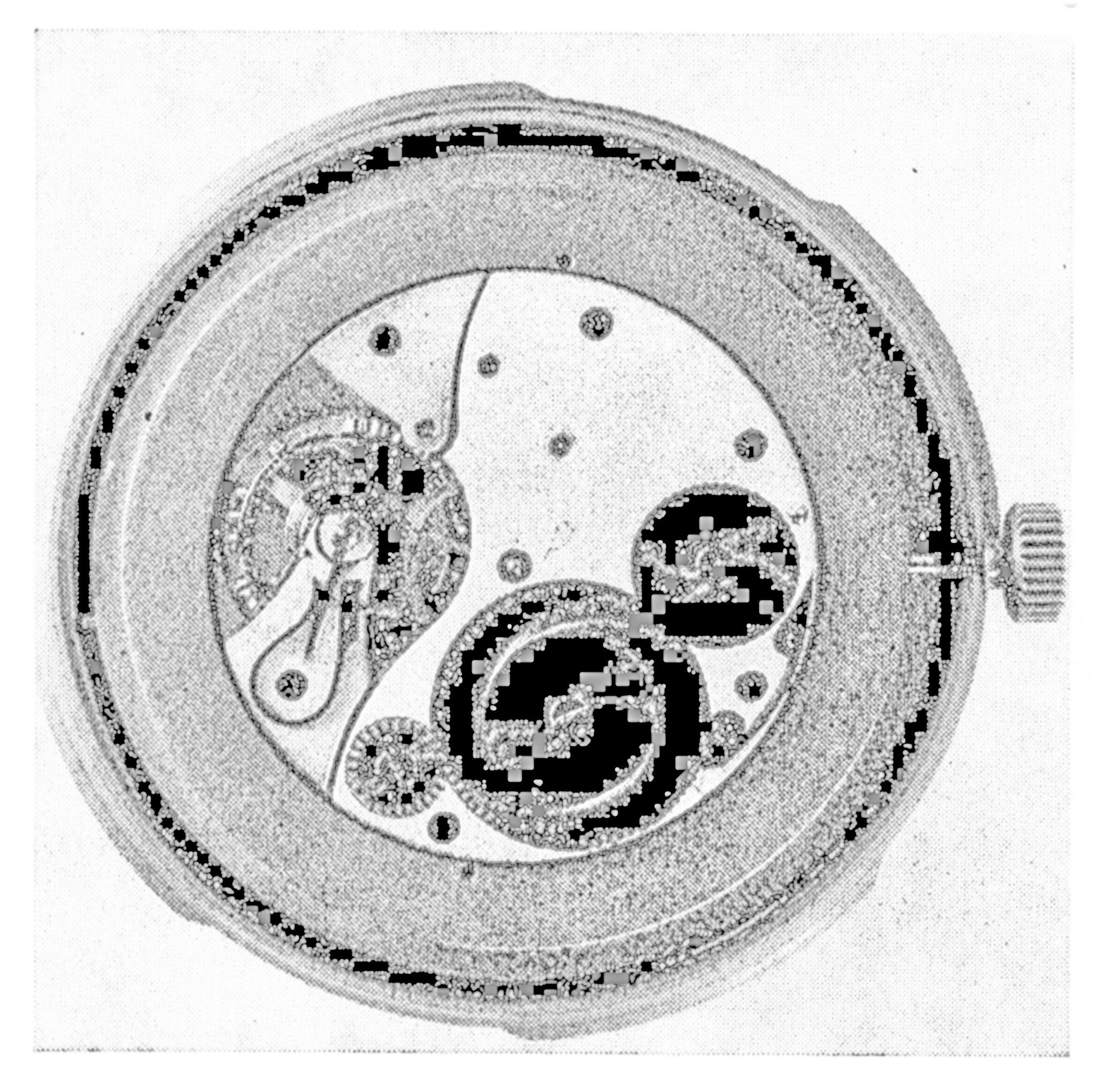 Das Uhrwerk nach Herausnahme aus der Chronometerkapsel