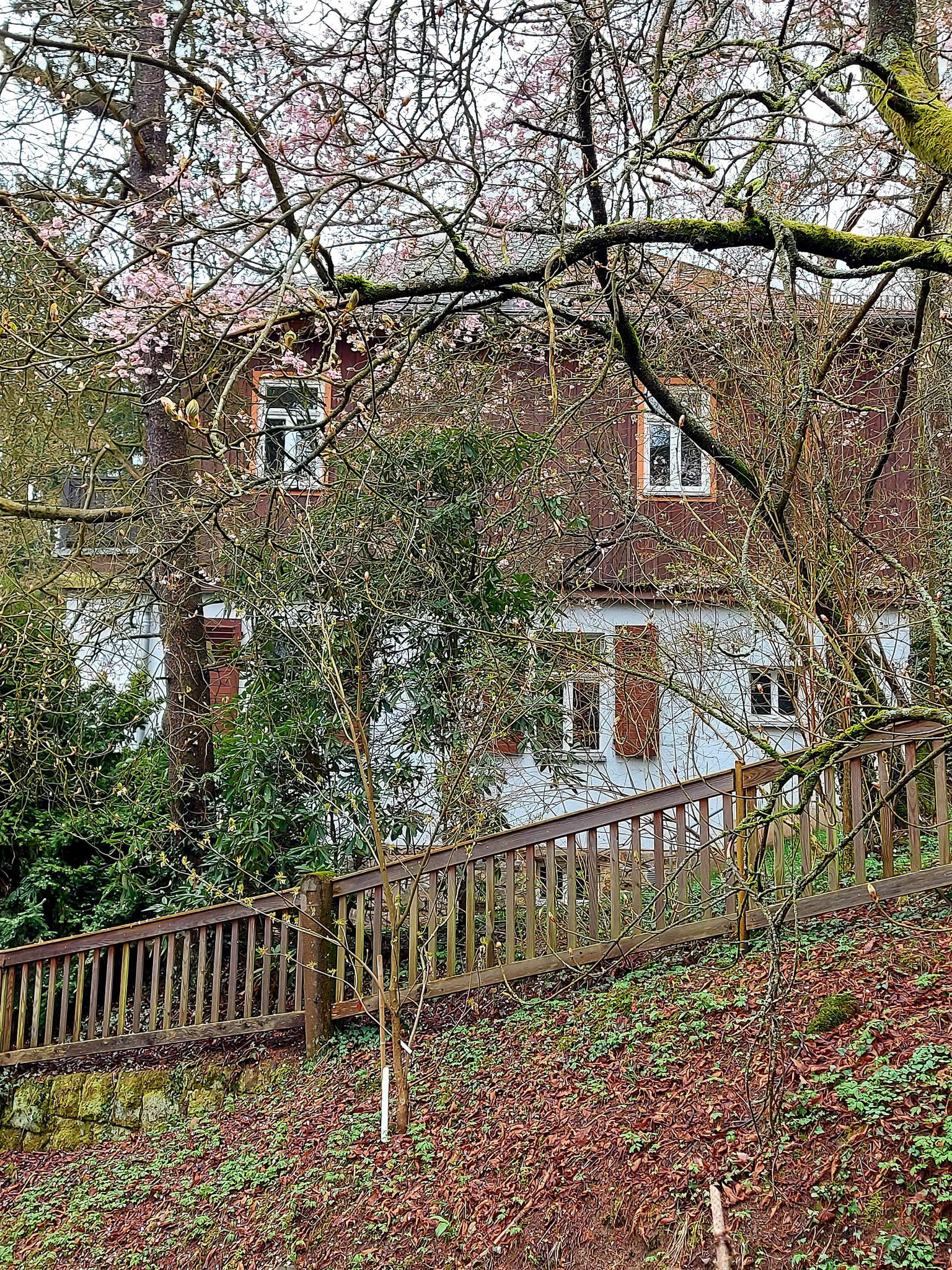 Die Neger-Villa, Traumhaus und unrassistisch benannt nach einem der Direktoren des Forstgartens