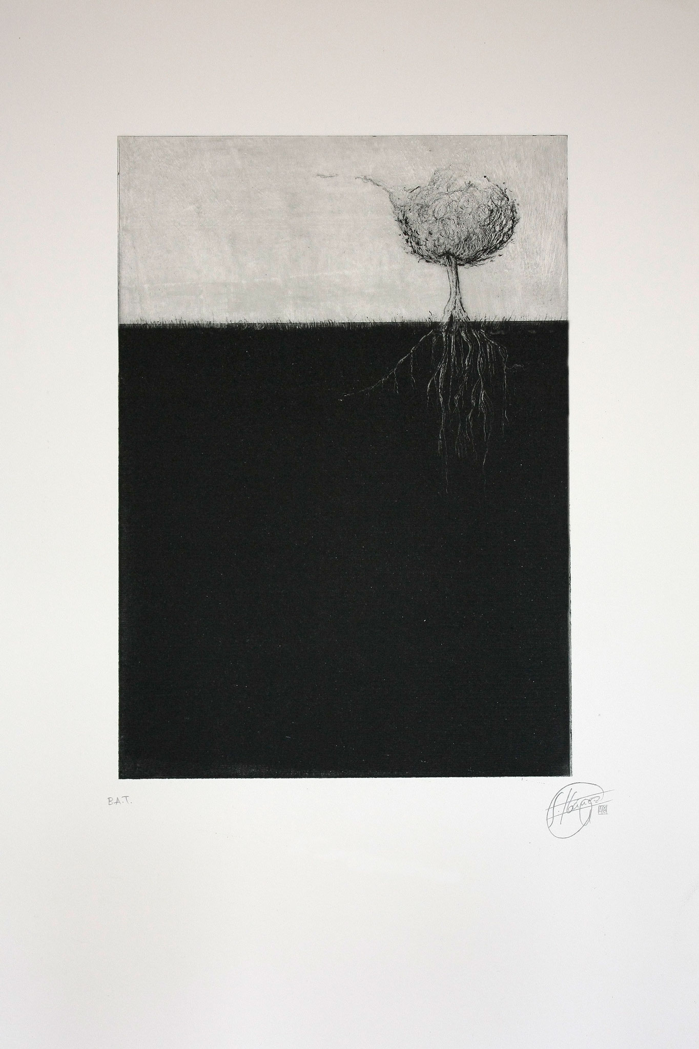 "ARRELADA"-Foto-aguatinta-35x25. 2014