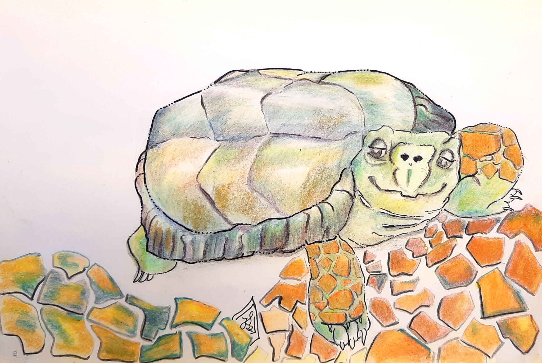 "Schildkröte"; Skizzenbuch; Buntstifte und Fineliner; A4
