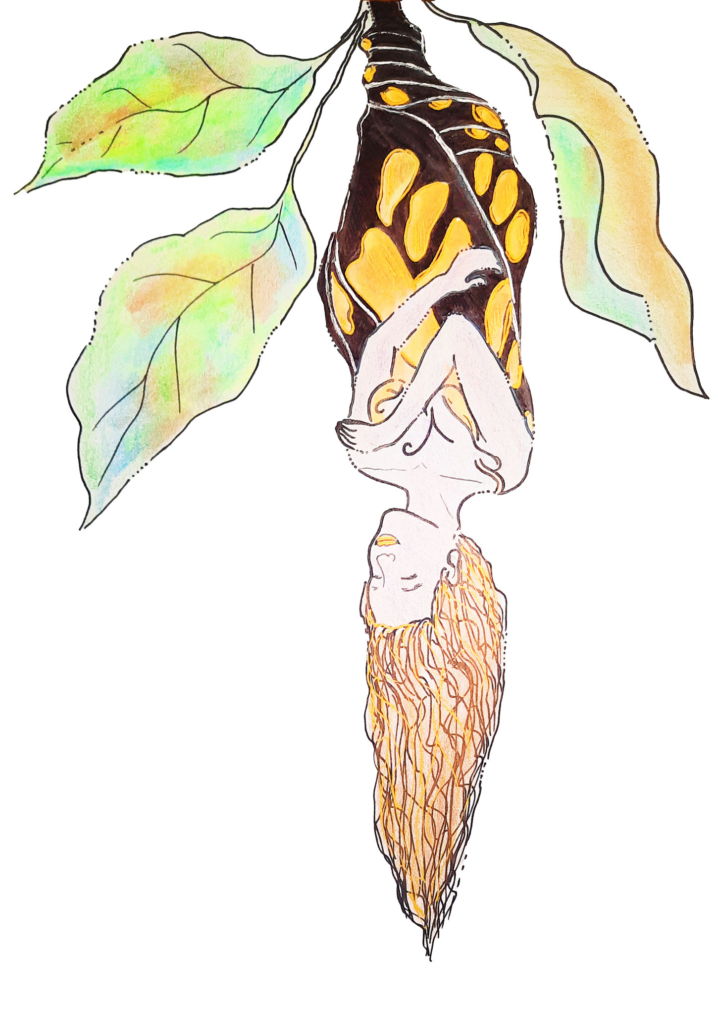 Titel: "Metamorphose"; Technik: Skizze/Sketchbook-Work; Buntstifte, Fineliner & Marker-Pen