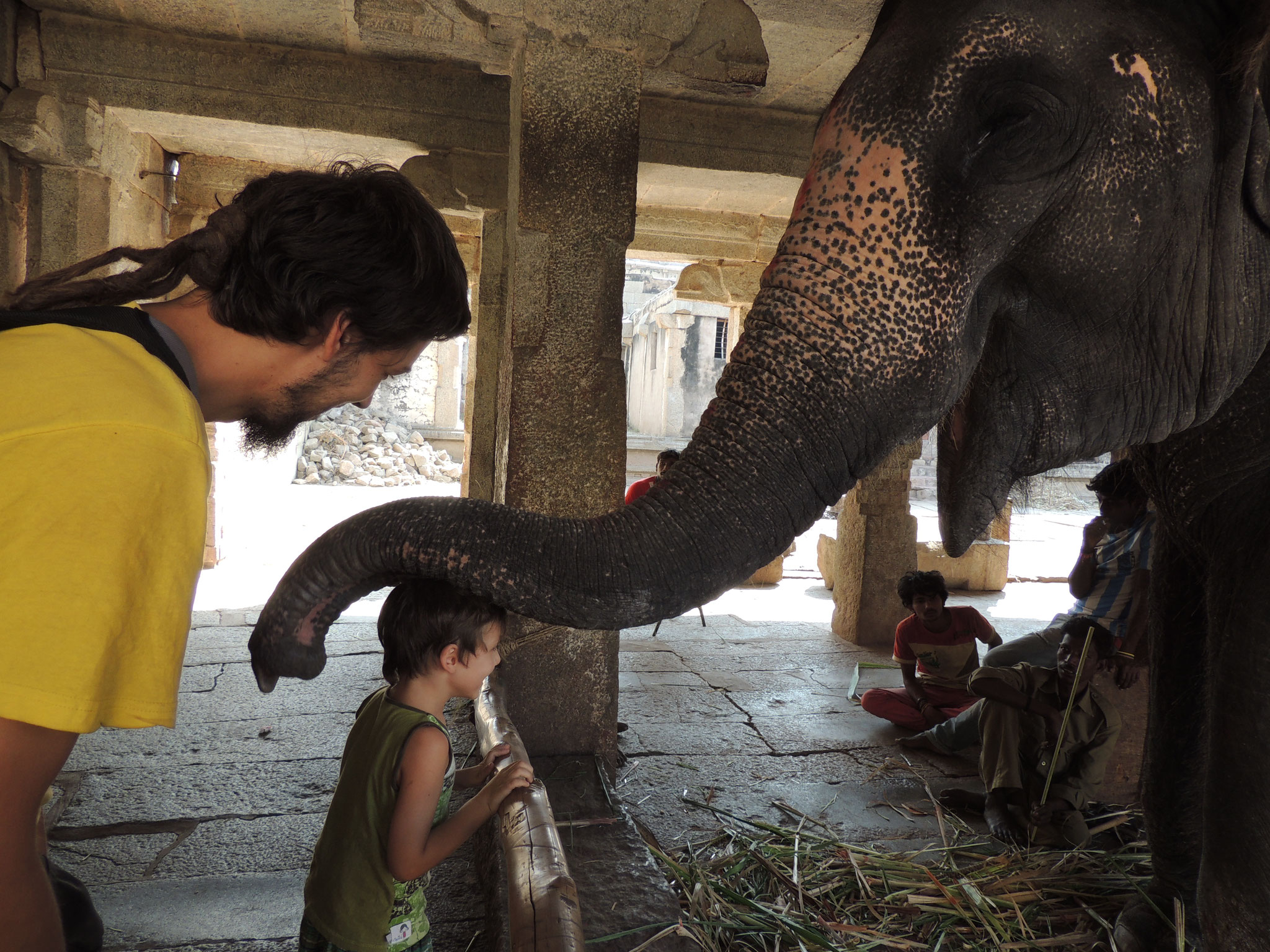 Indien 2014 - Elephant Kiss