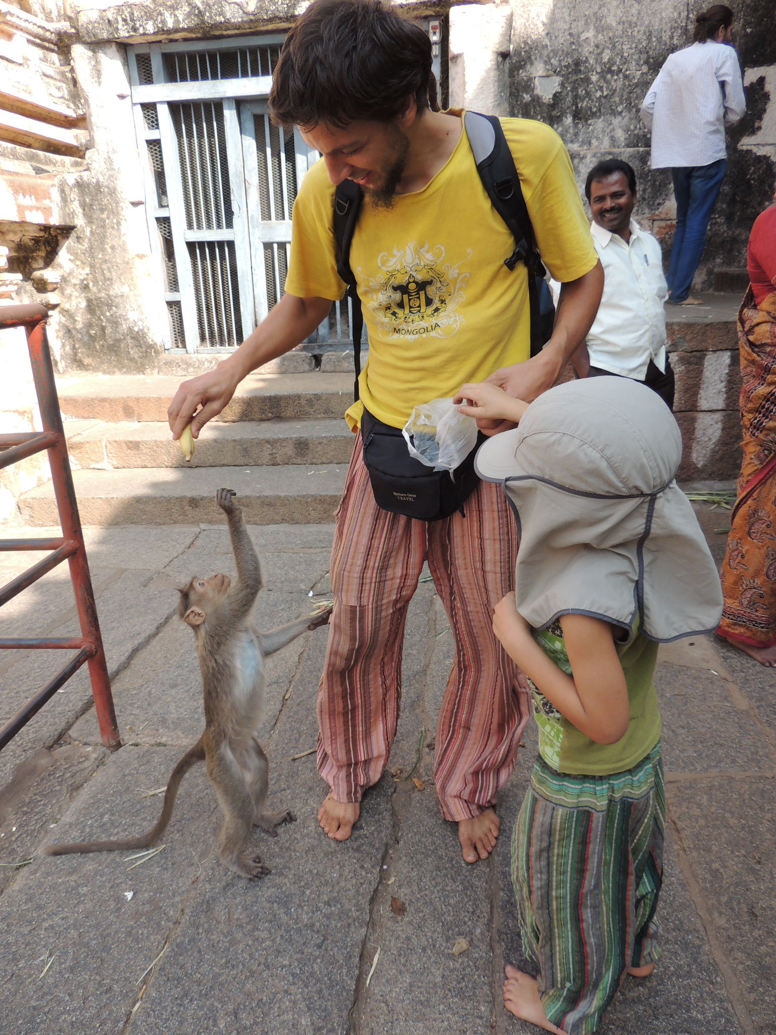 Indien 2014 - Affenfütterung