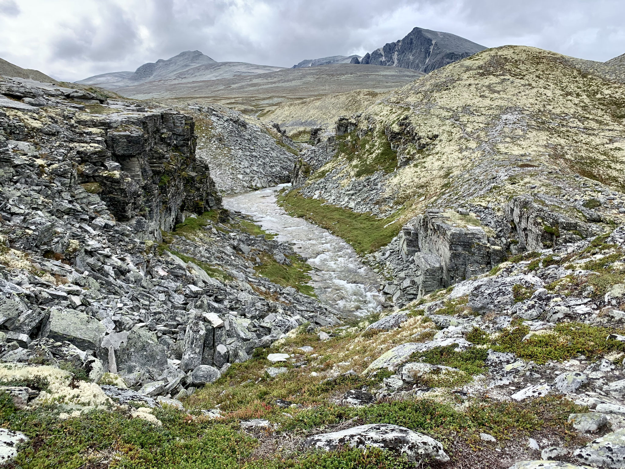 Die Schlucht des Bergedalsbekken