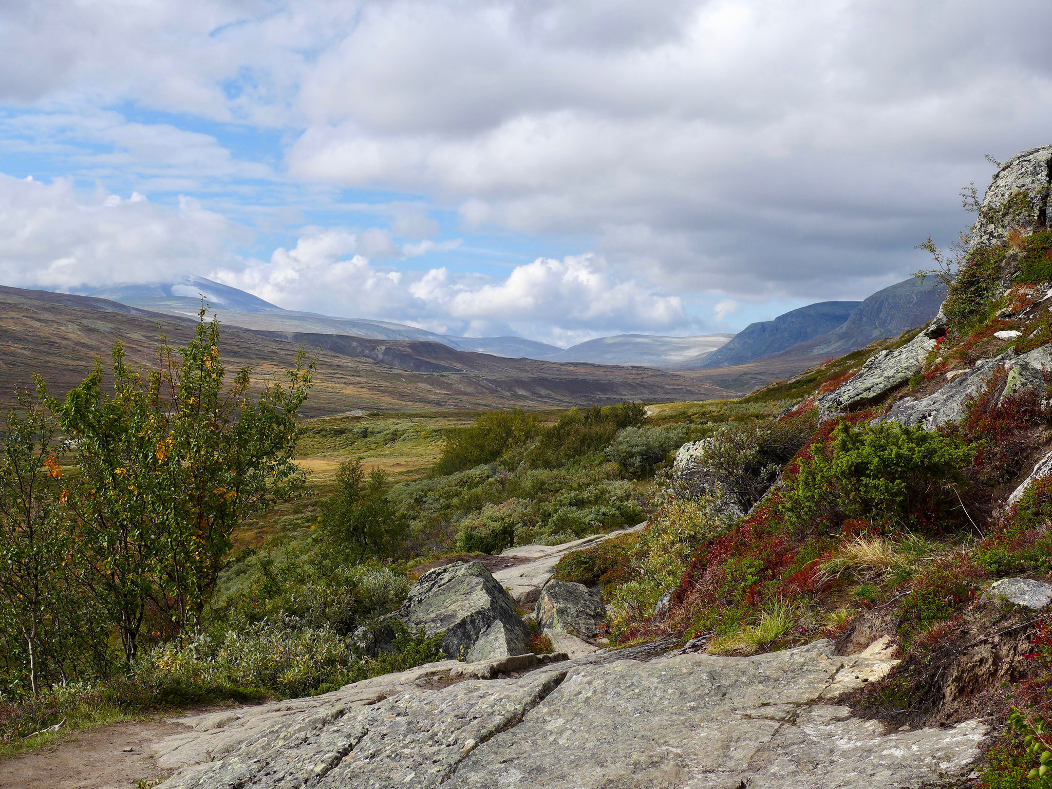 Man kann weit in den Dovrefjell wandern, rechts der wolkenverdeckte Snøhetta.