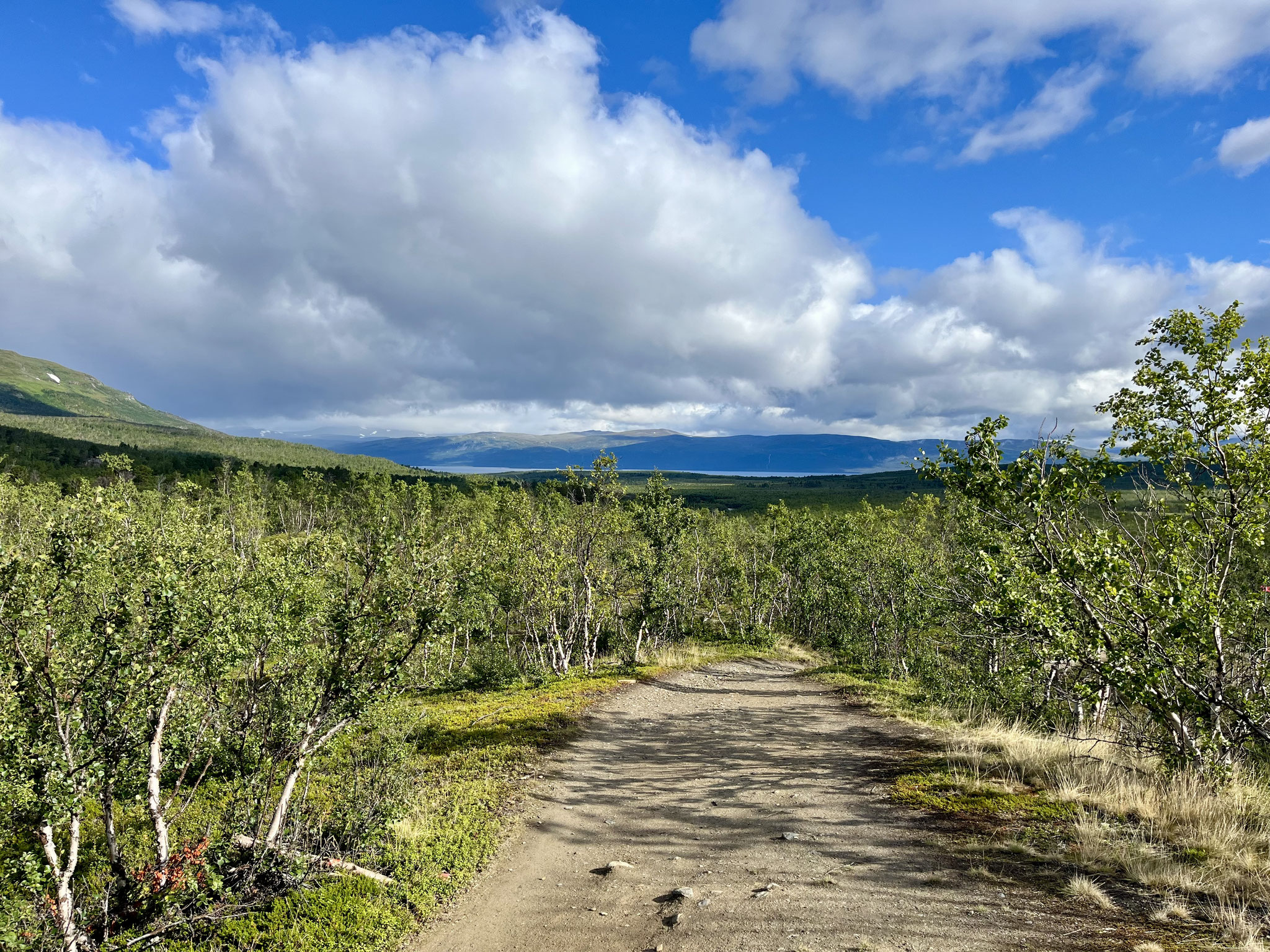 Der Blick zurück Richtung Abisko