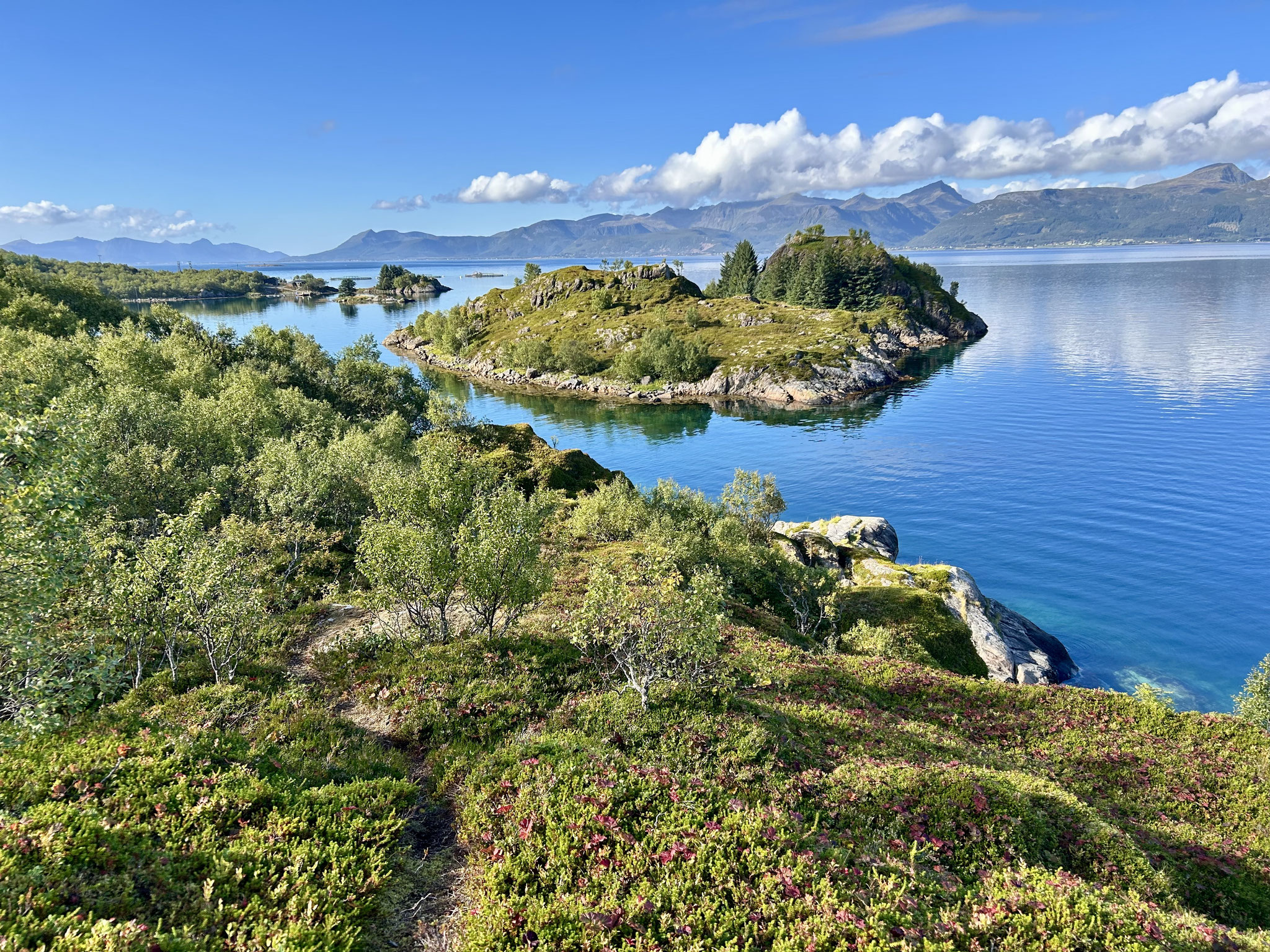 Blokken, Vesterålen