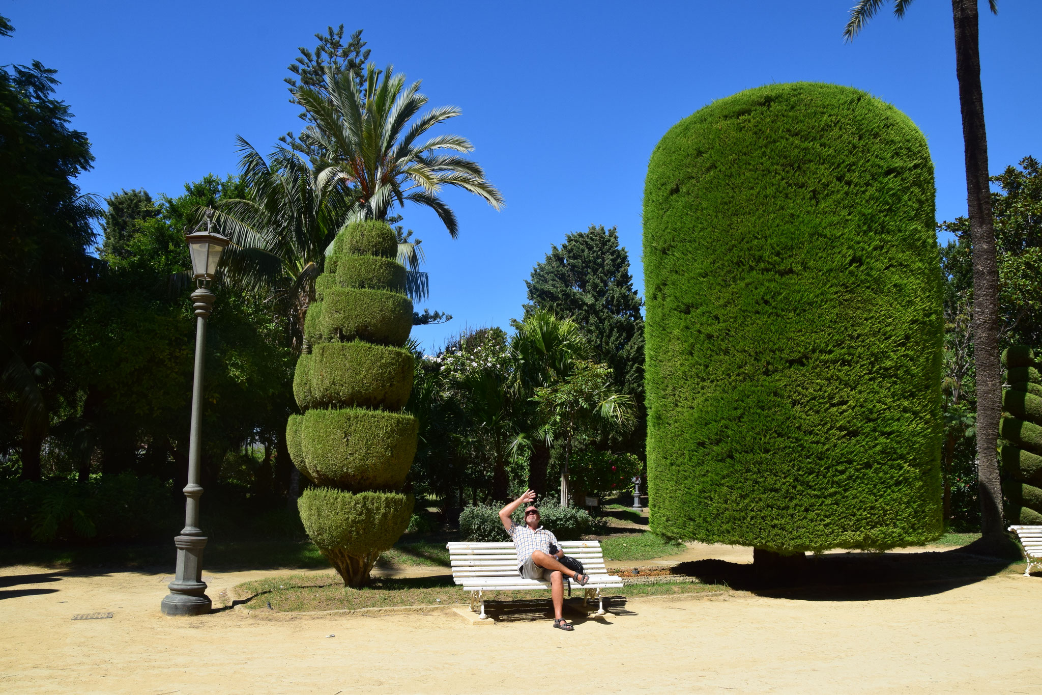 Der botanische Garten