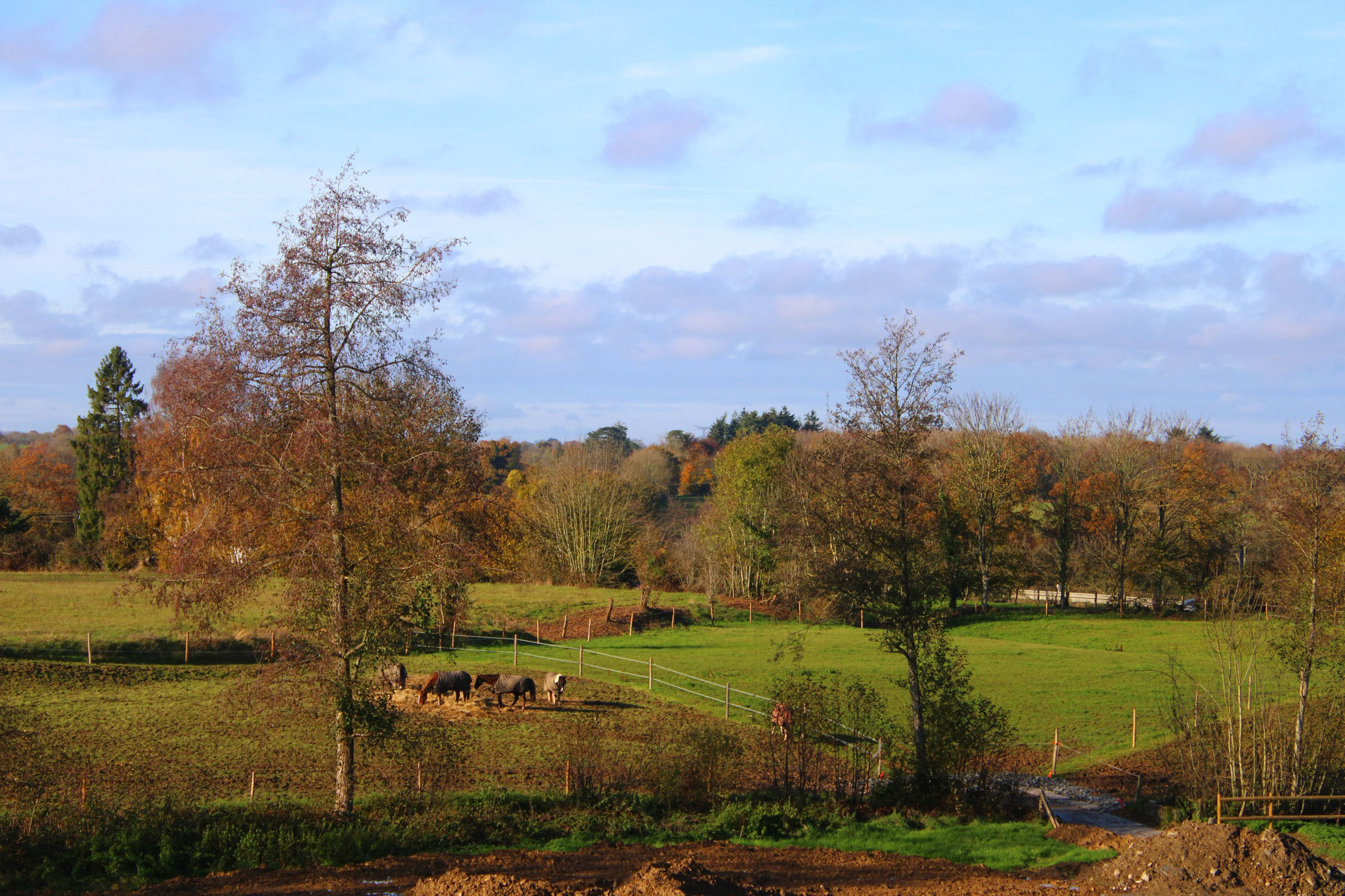 Paddocks rivière