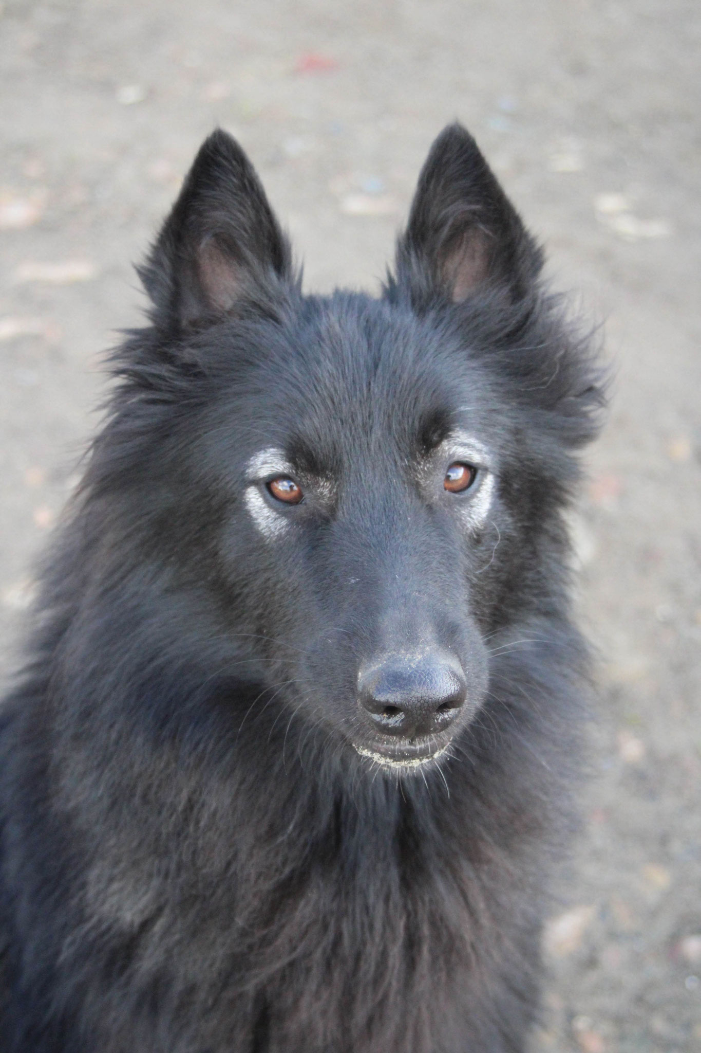 Onyx