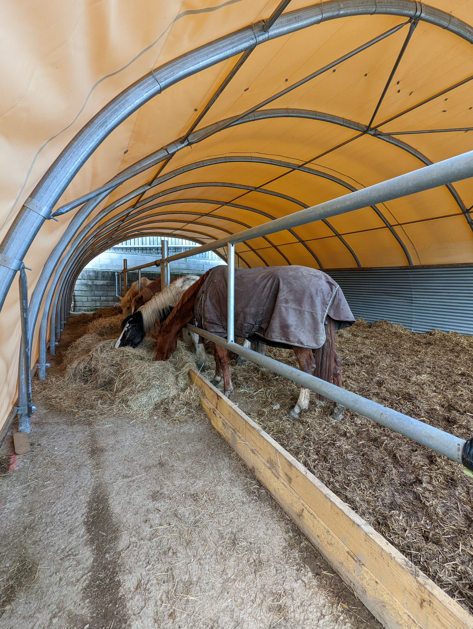 Stabulation chevaux