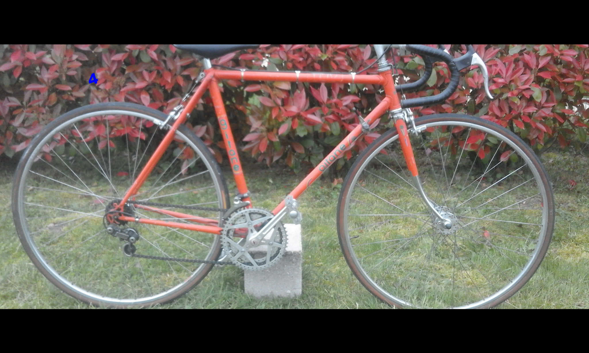 Gitane course taille 54 cm à partir de 150 euros