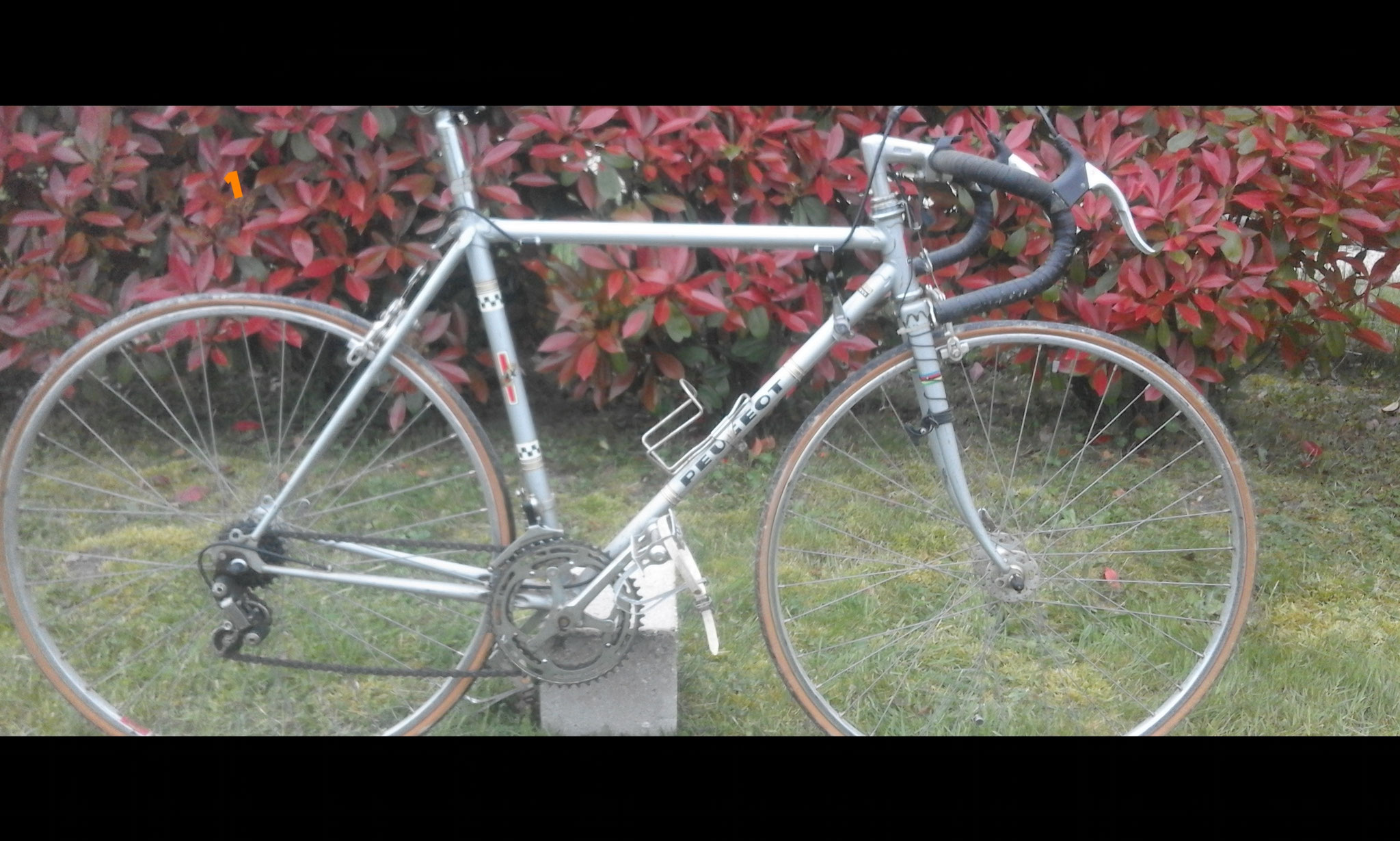 Peugeot course taille 52 cm à partir de 120 euros  