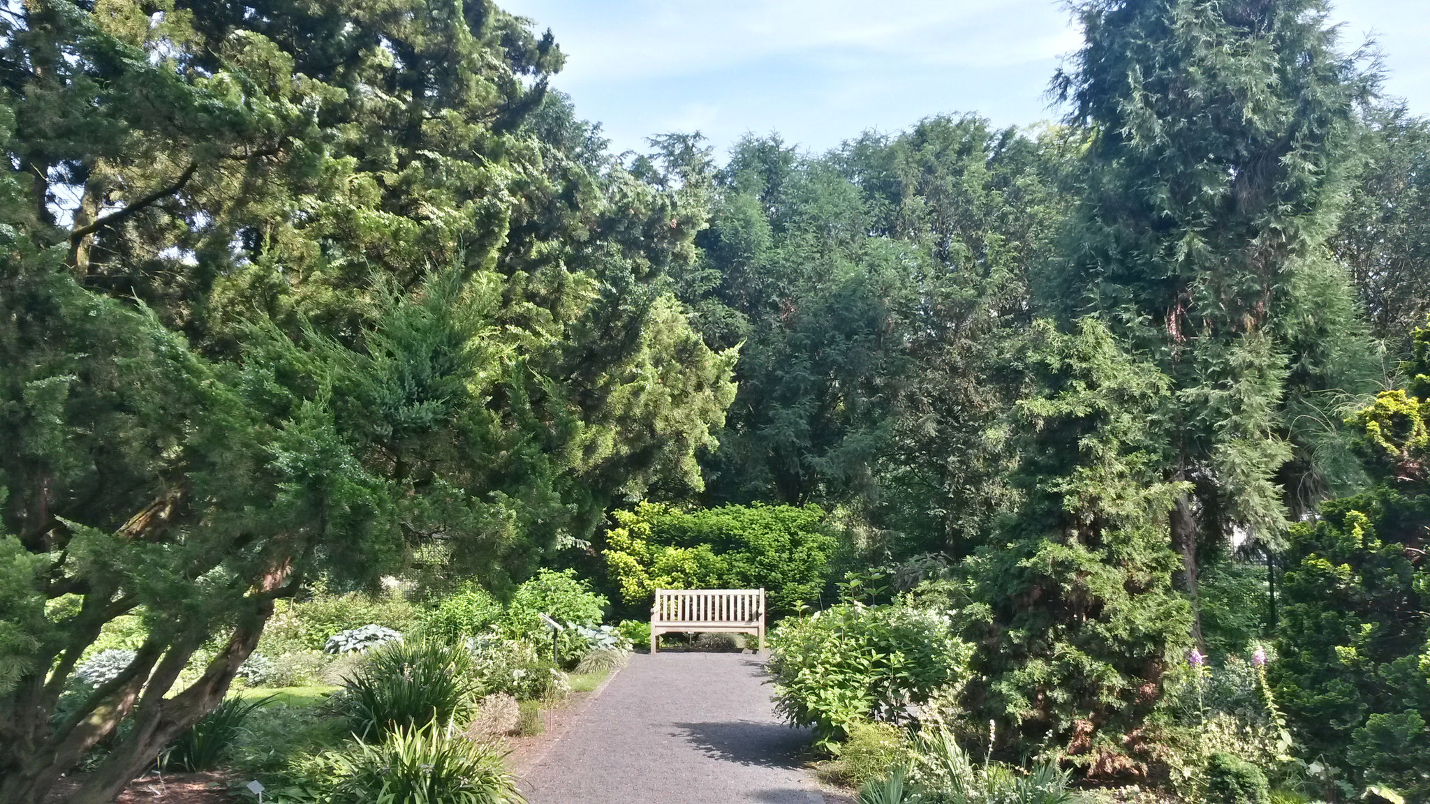 The Secret Garden Tag der offenen Gartenpforte im Rheinland Der
