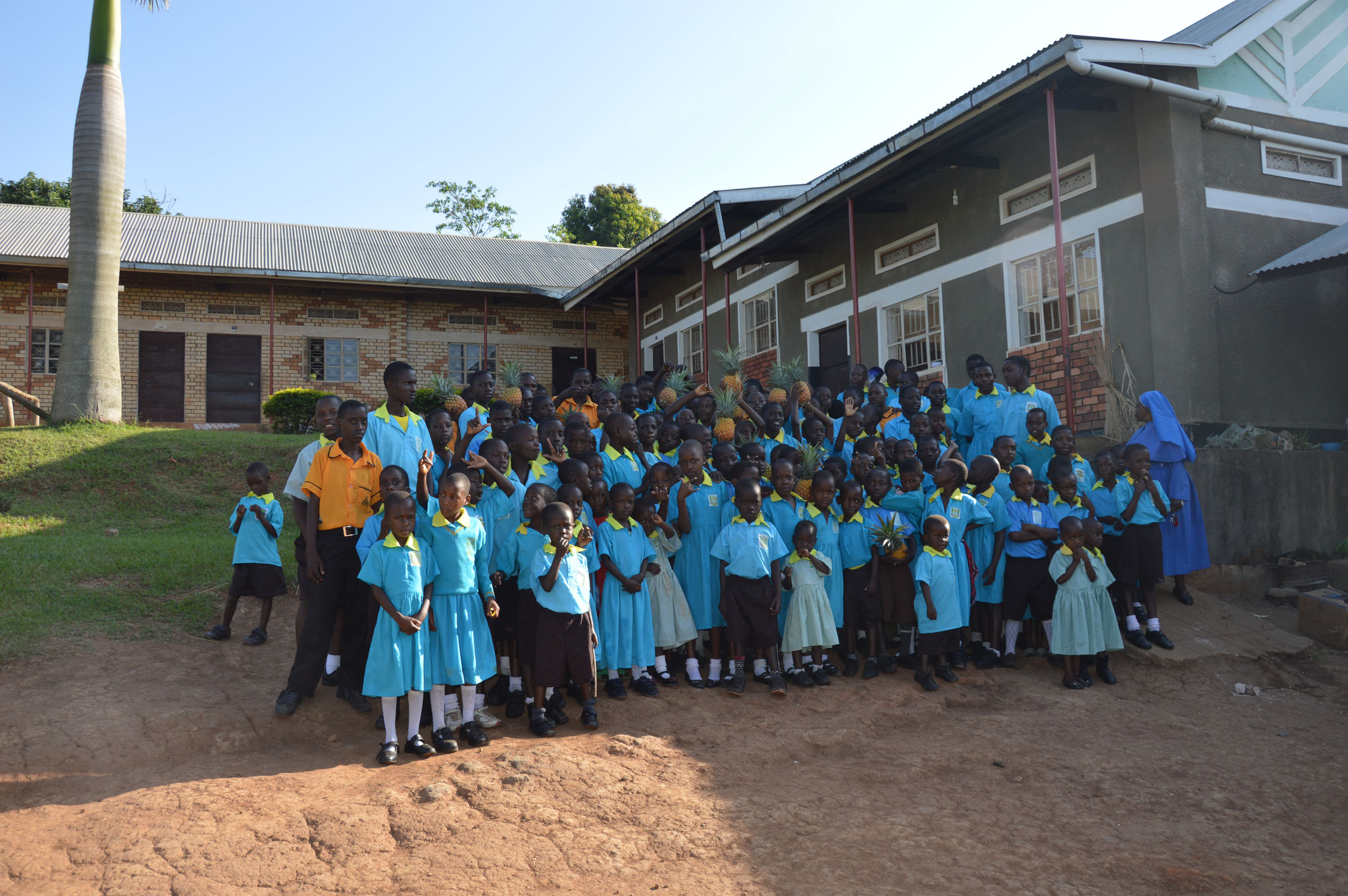 ein kleiner Teil der Ananase für die Kinder in Masaka - Es wurden zwei mal welche gekauft, damit die Kinder mehr davon haben