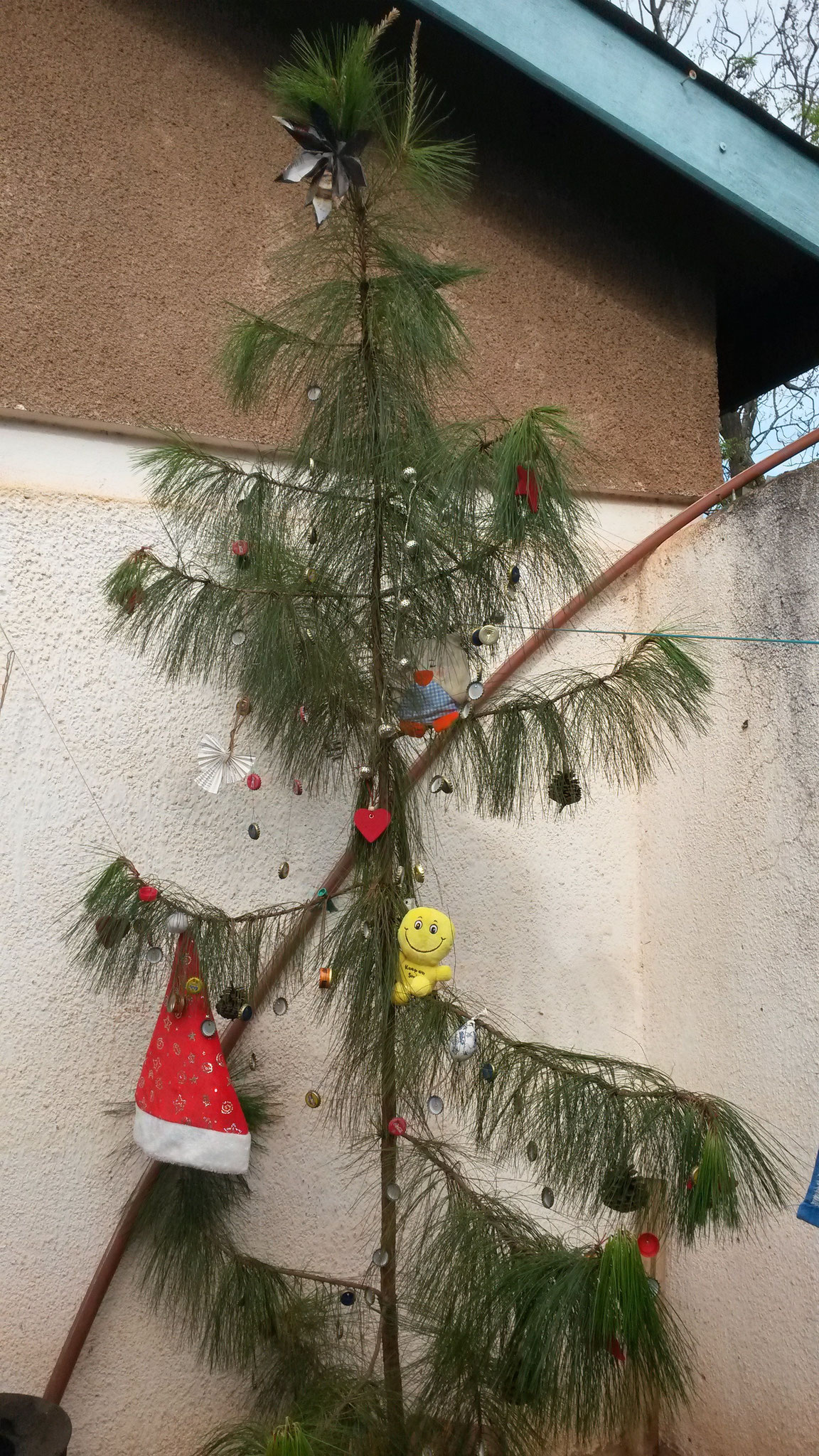 Christbaum