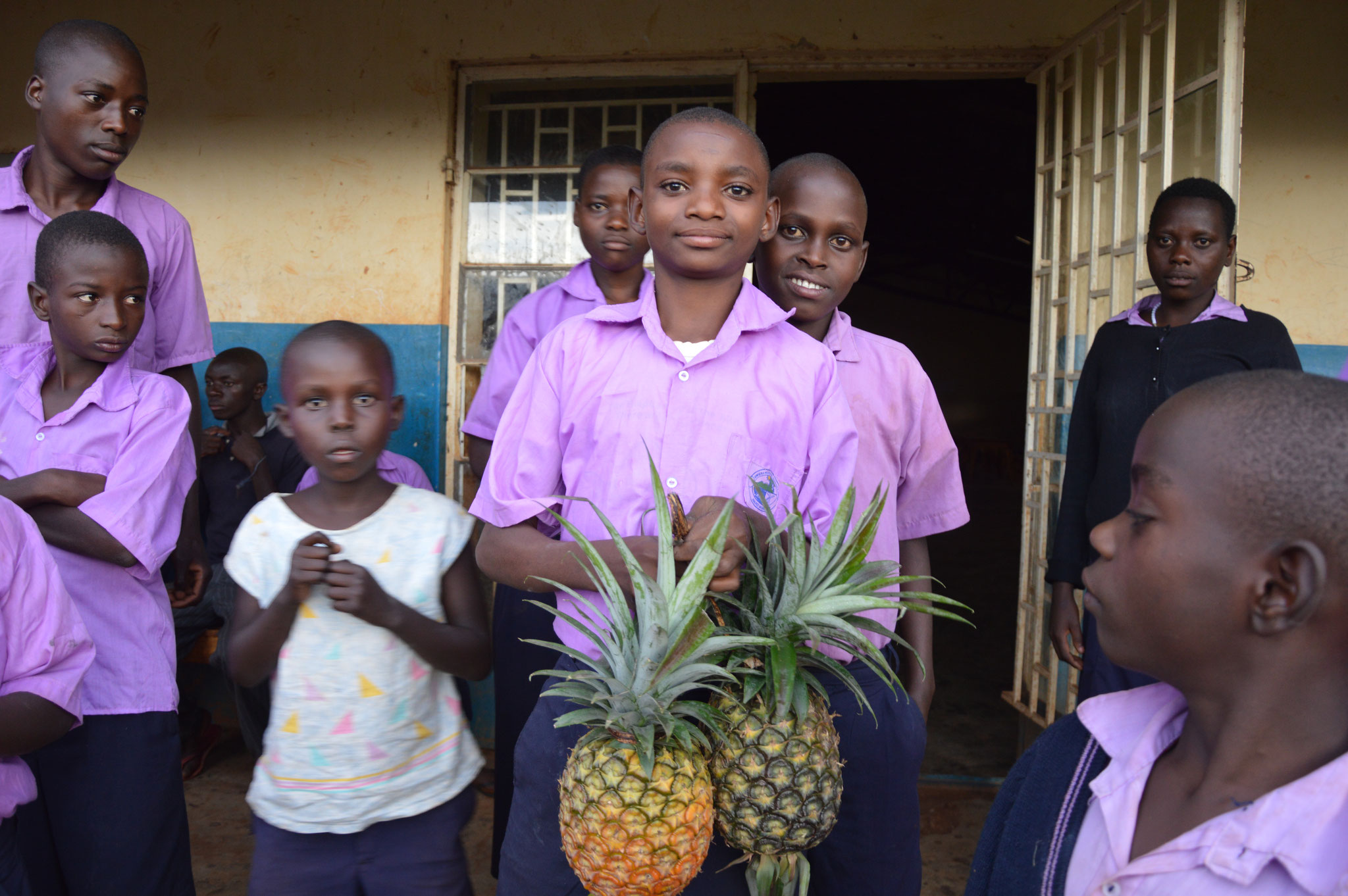 Ananas (Auf der lokalen Sprache heißt Ananas = Manasi)