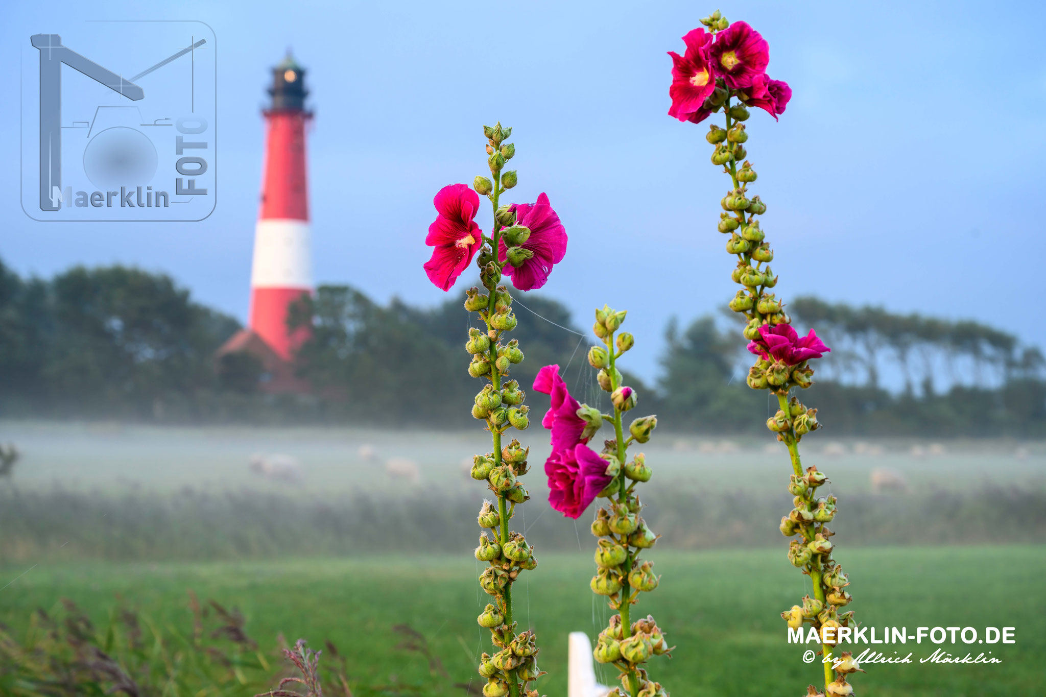 Nordseeinsel Pellworm, Leuchtturm