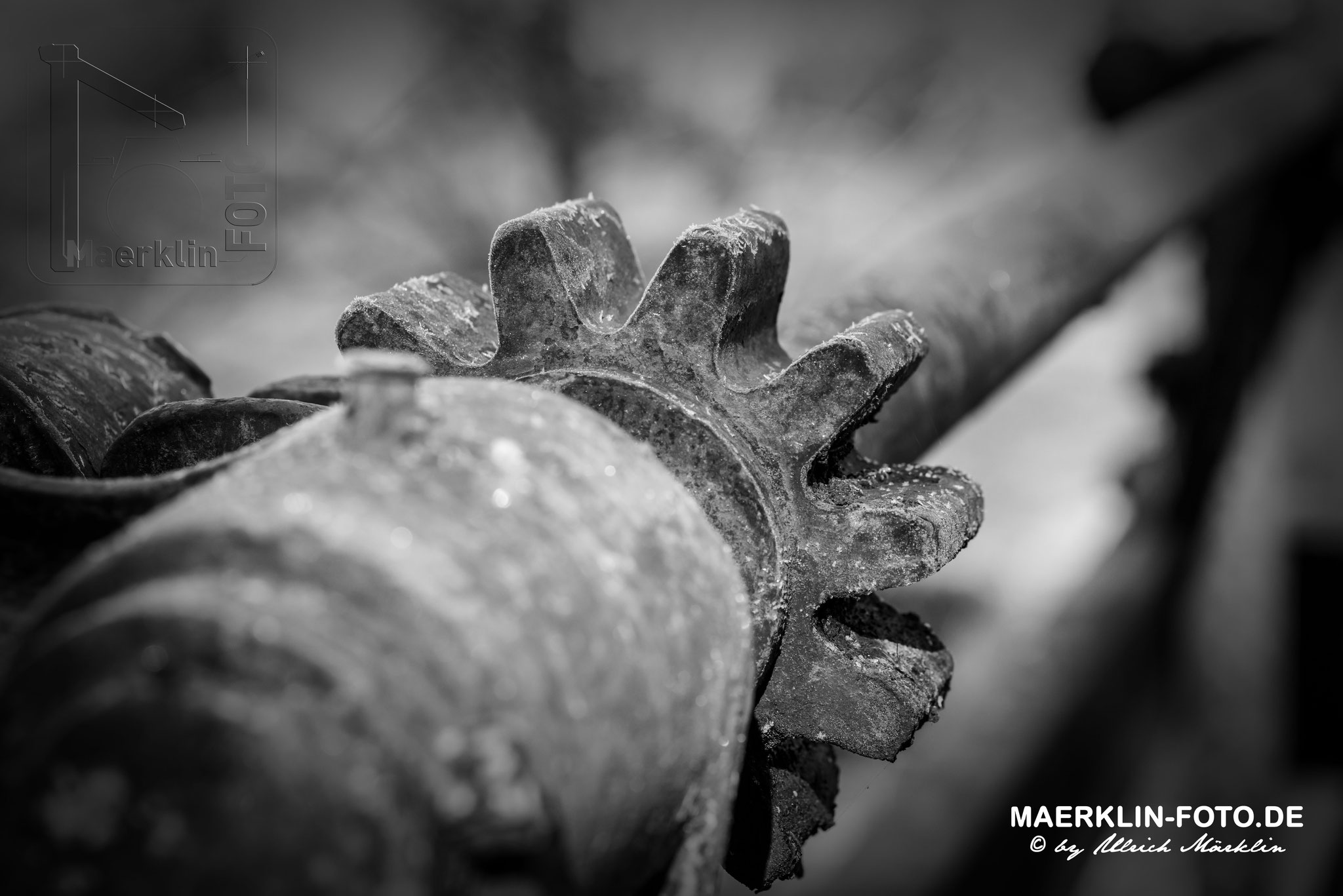Wehranlage im Waldachtal bei Iselshausen, Mechanik