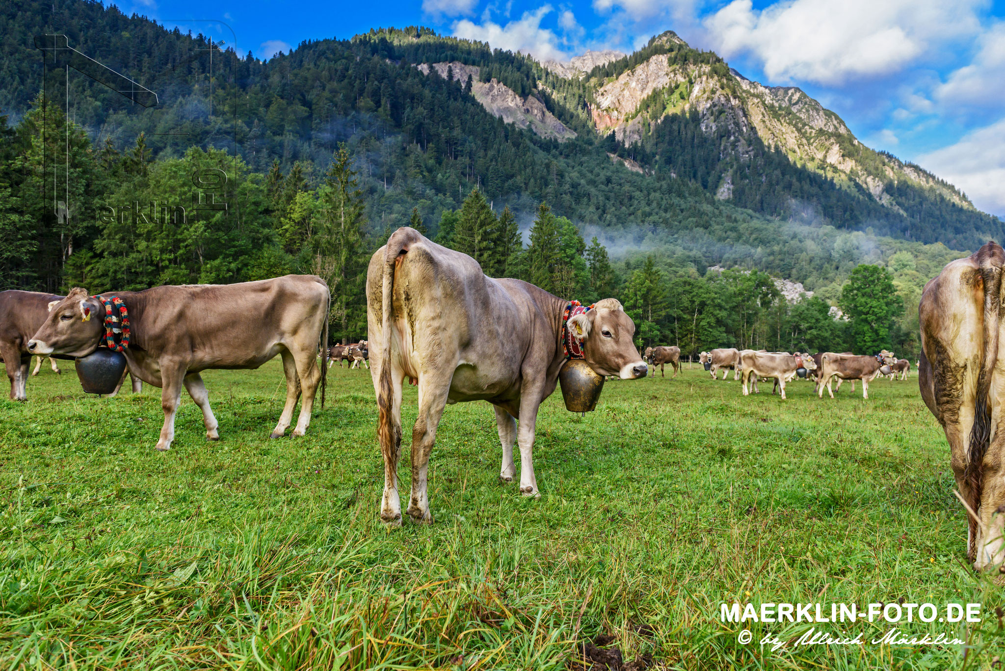 Viehscheid, Hinterstein (Bad Hindelang Allgäu)