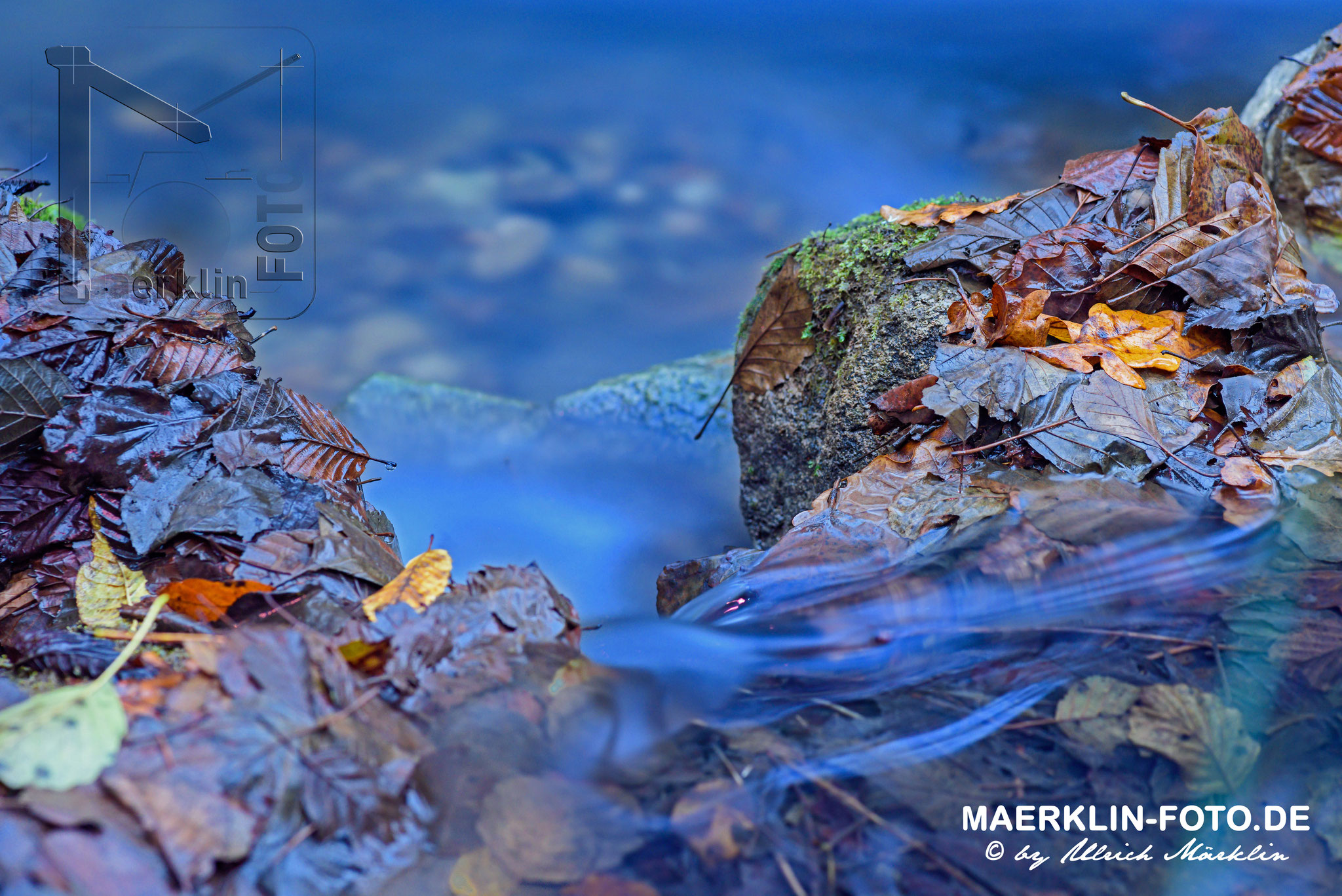 fließendes Wasser und Herbstlaub mit Aufhellblitz, Naturpark Schönbuch