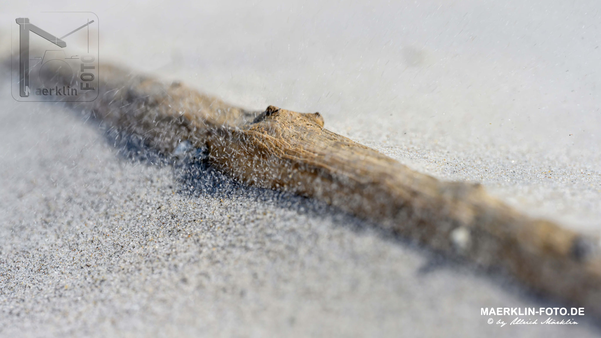 Norderoogsand, verwitterter Stock
