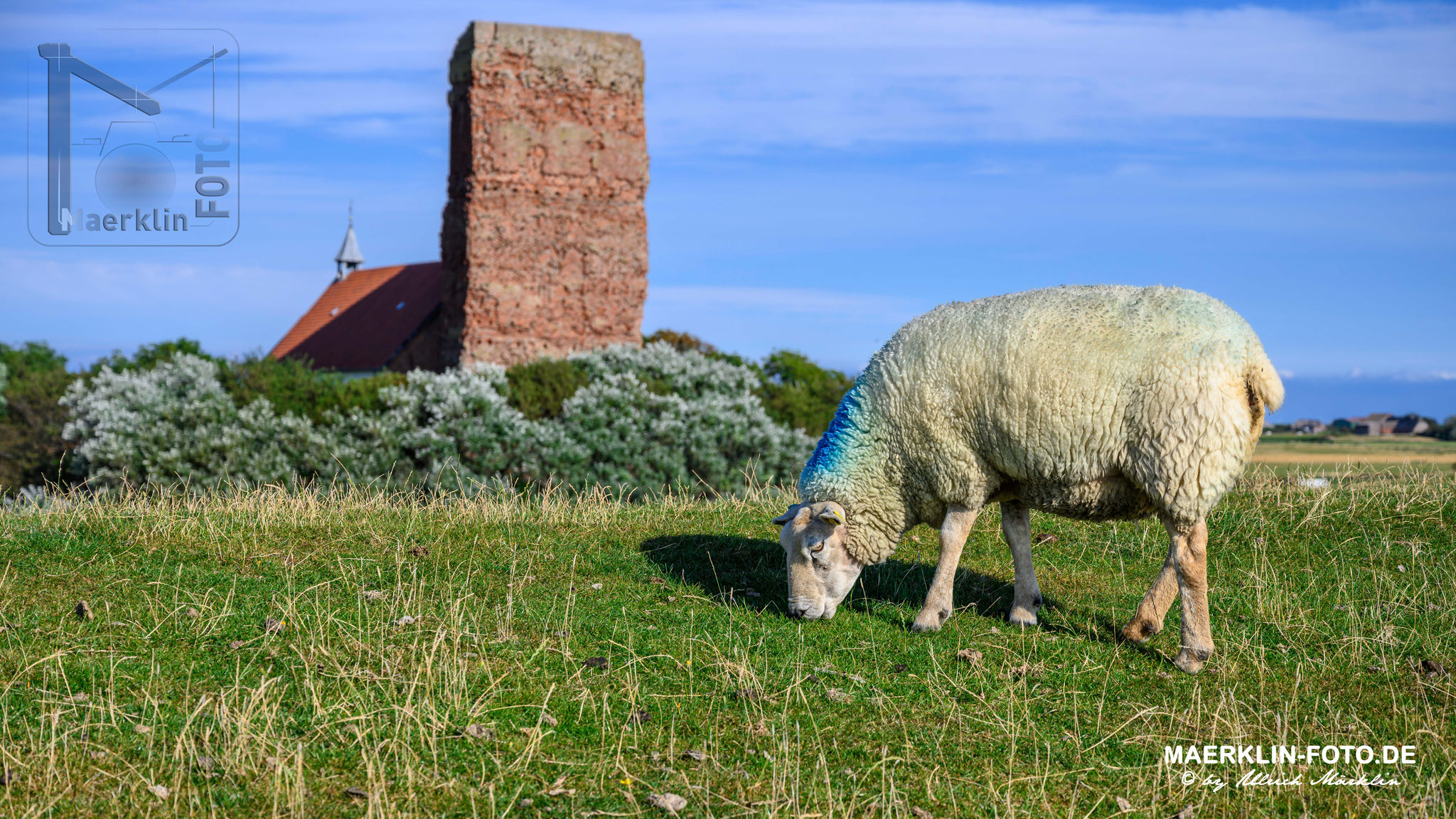 Nordseeinsel Pellworm, Alte Kirche