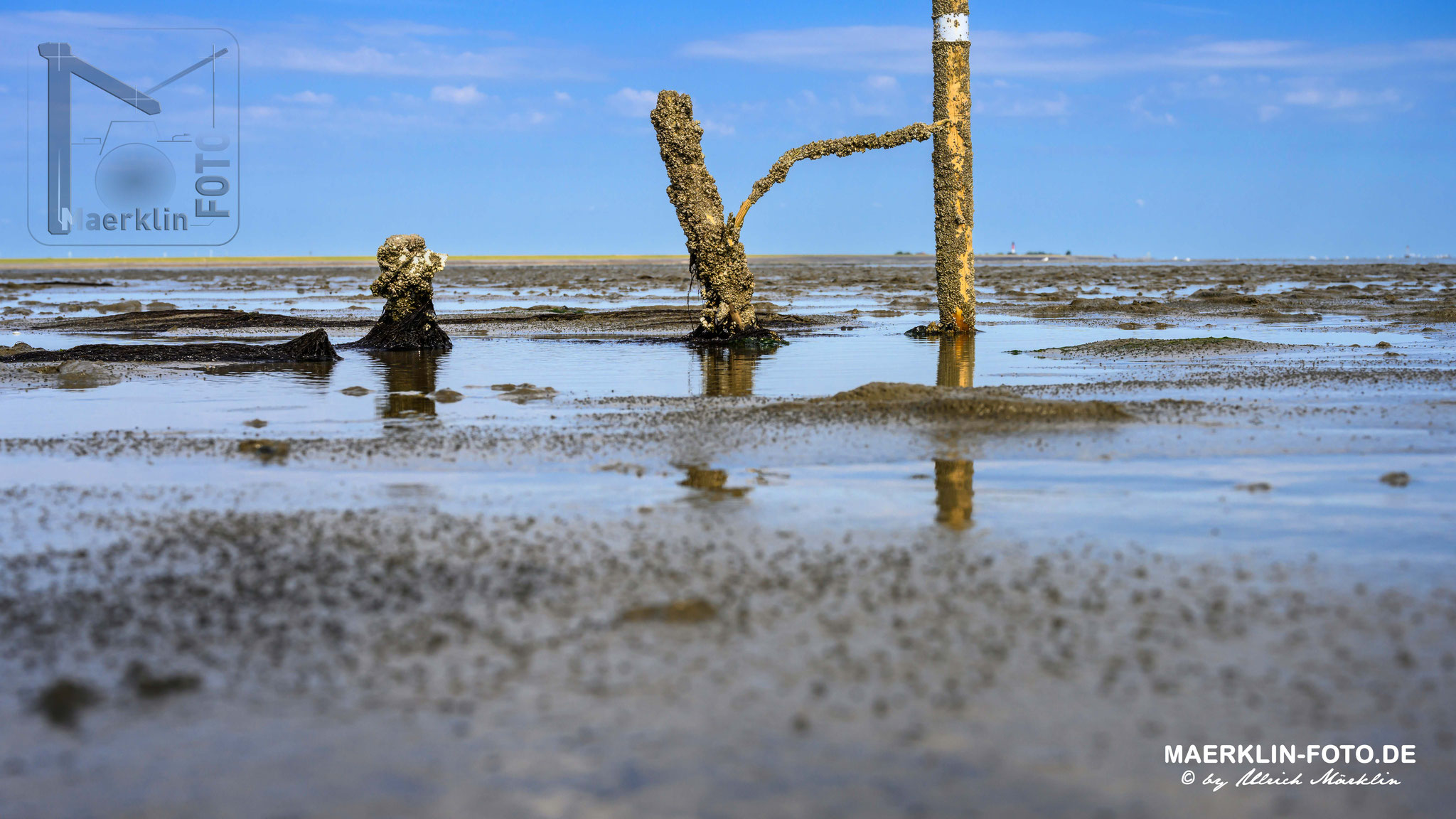 Nordseeinsel Pellworm, Wattwandern nach Hallig Süderoog