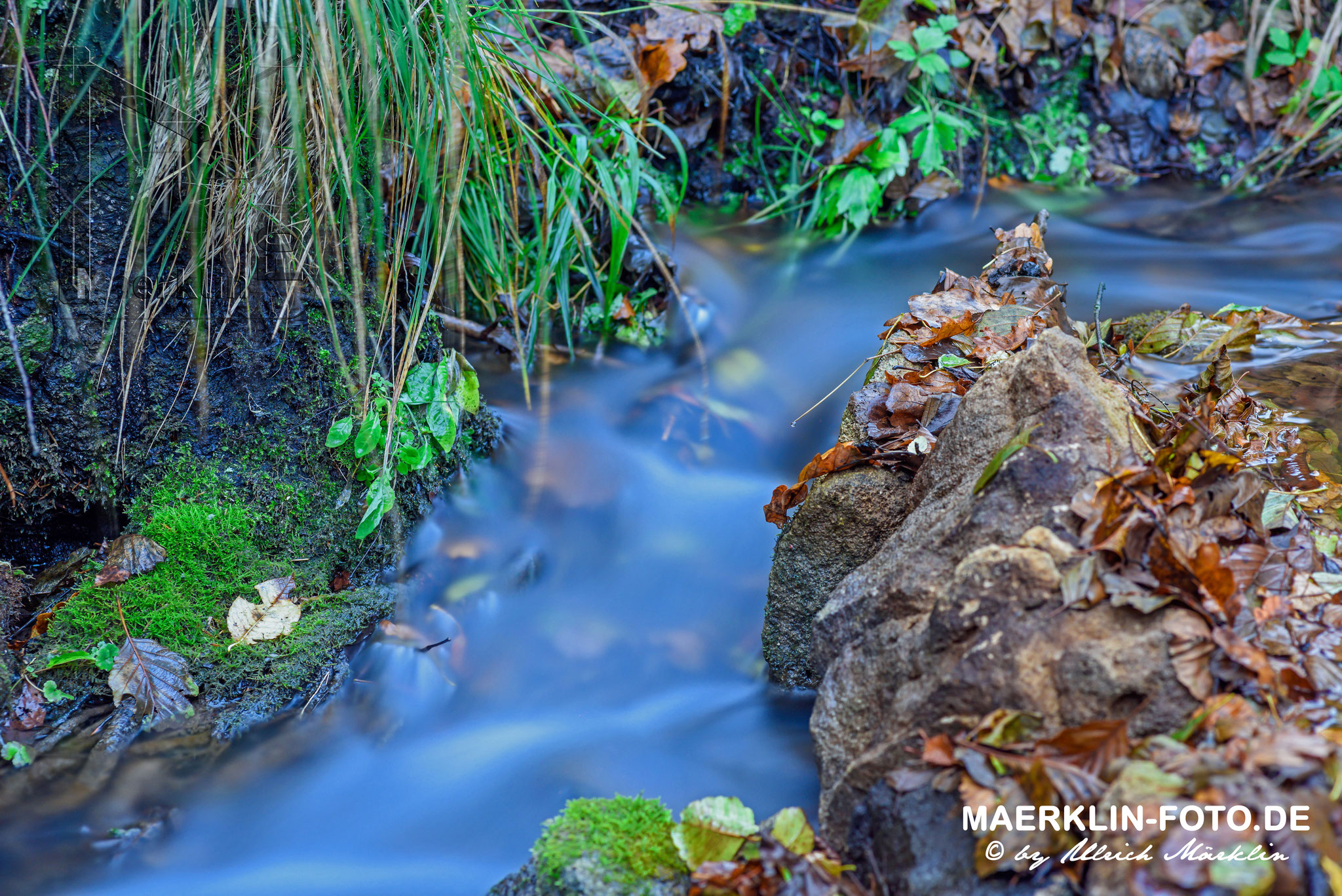 fließendes Wasser und Herbstlaub mit Aufhellblitz, Naturpark Schönbuch