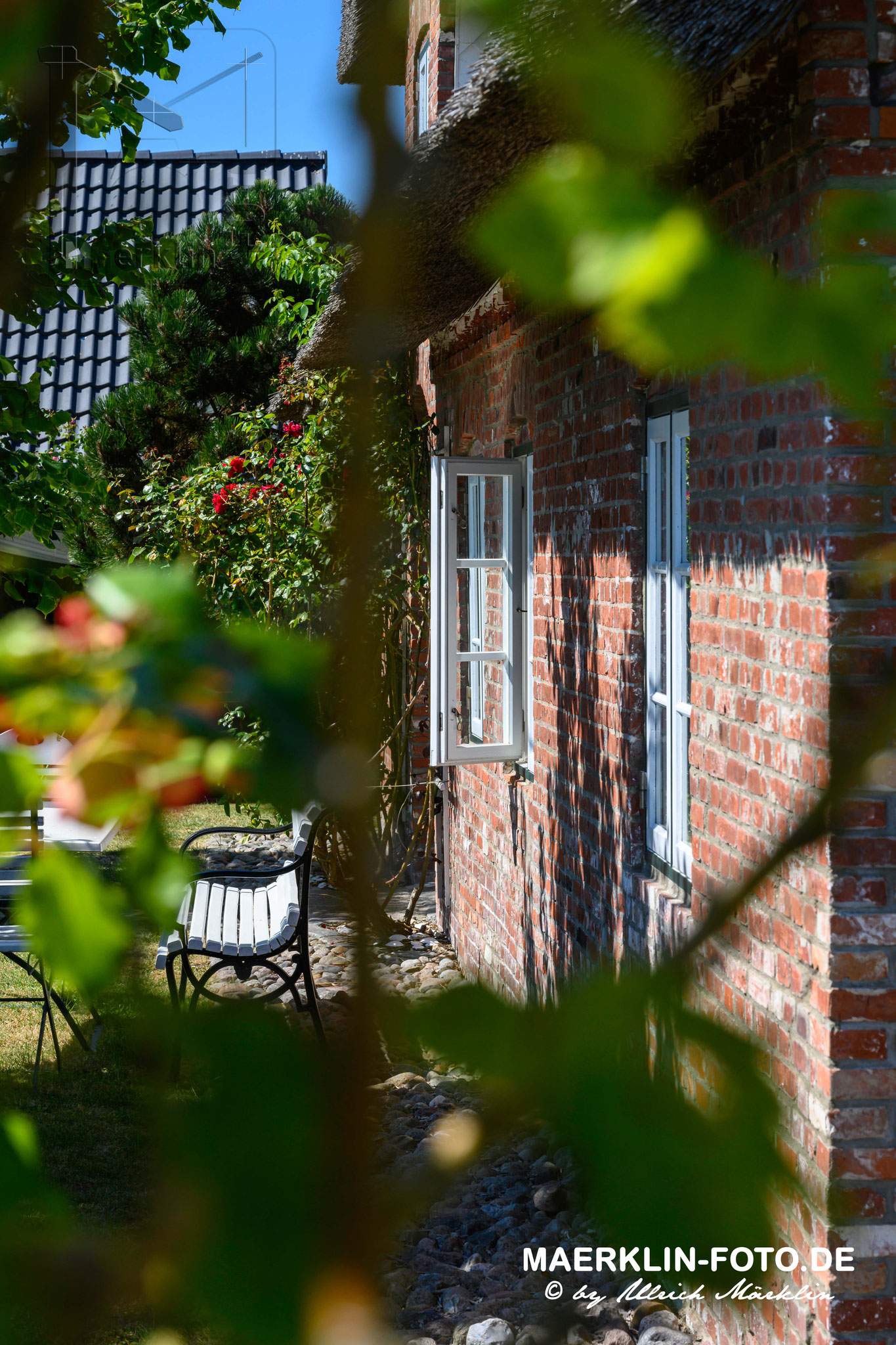 Nordseeinsel Pellworm, Garten