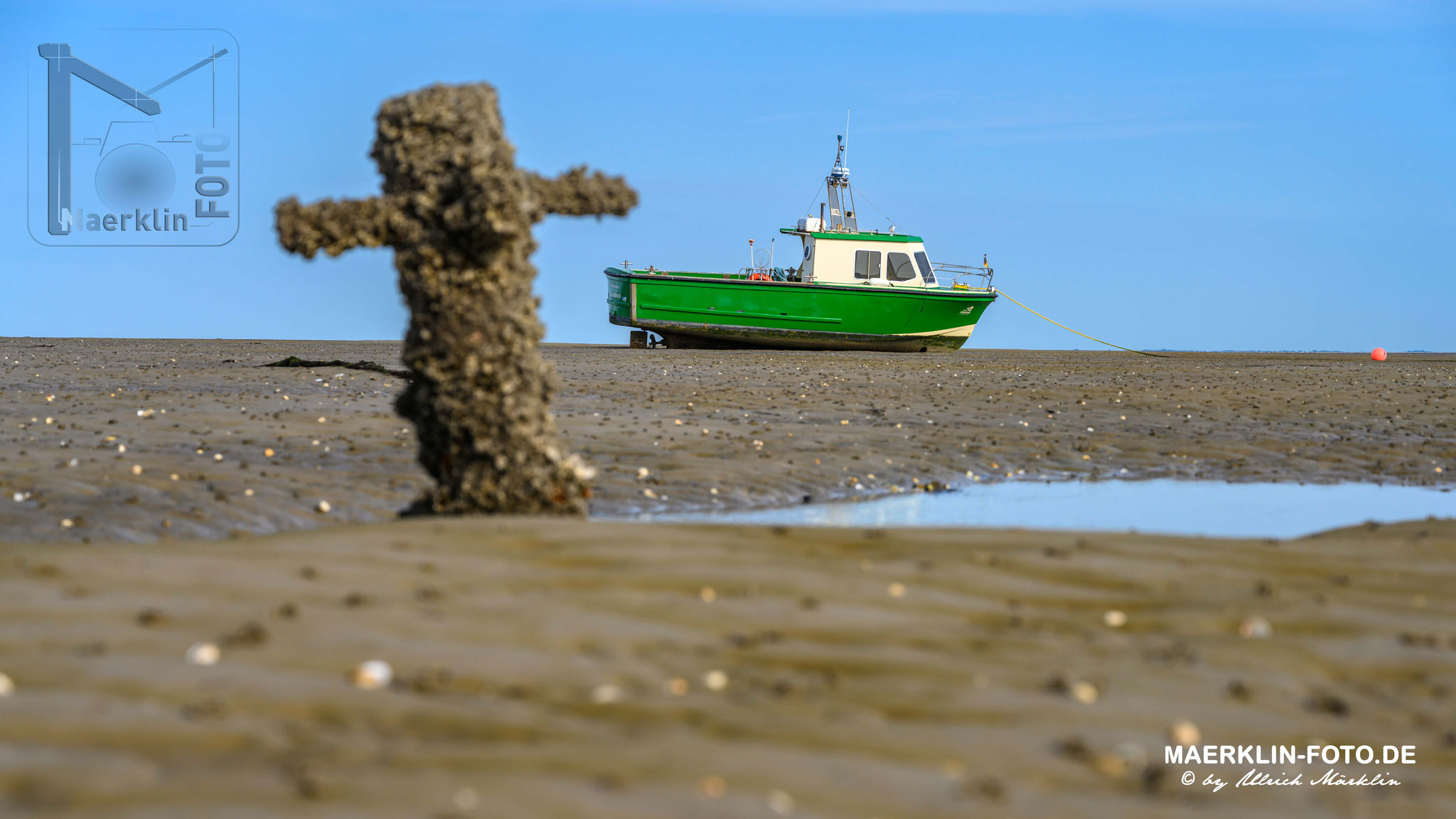 Hallig Süderoog, Wattwandern nach Hallig Süderoog