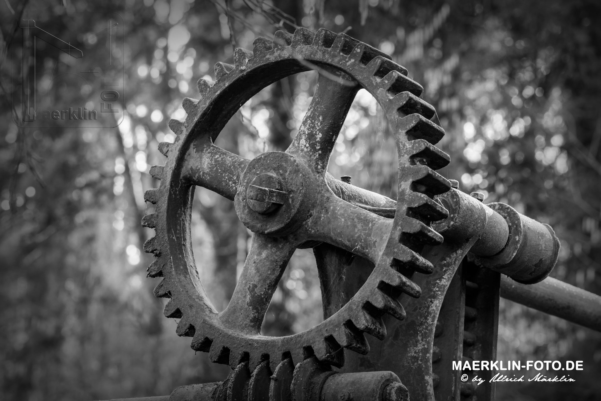 Wehranlage im Waldachtal bei Iselshausen, Mechanik