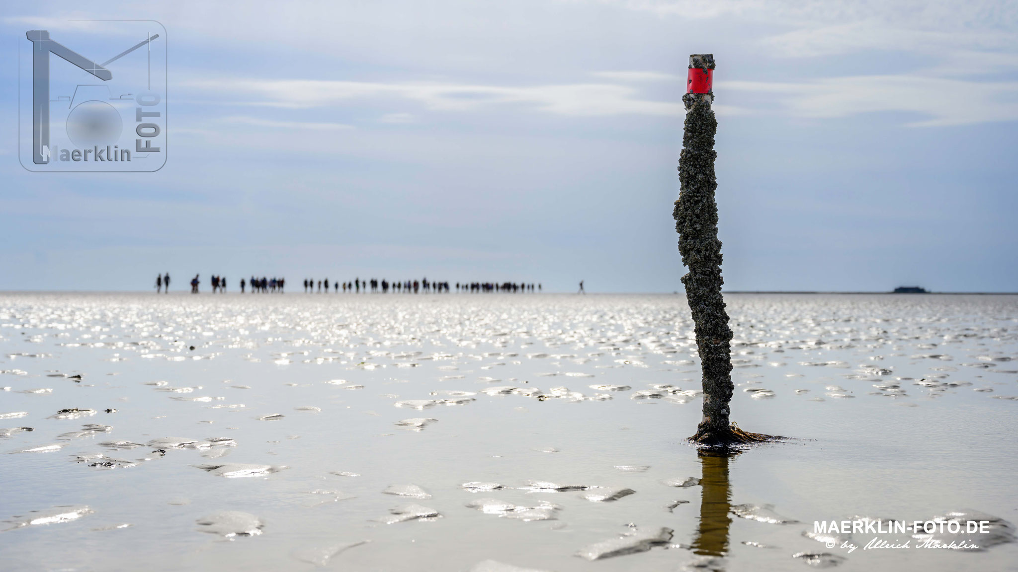 Nordseeinsel Pellworm, Wattwandern nach Hallig Süderoog