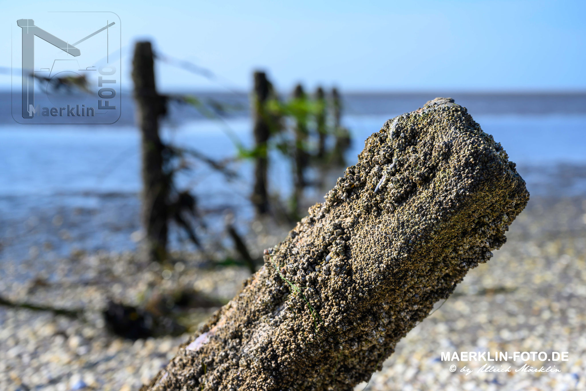 Nordseeinsel Pellworm