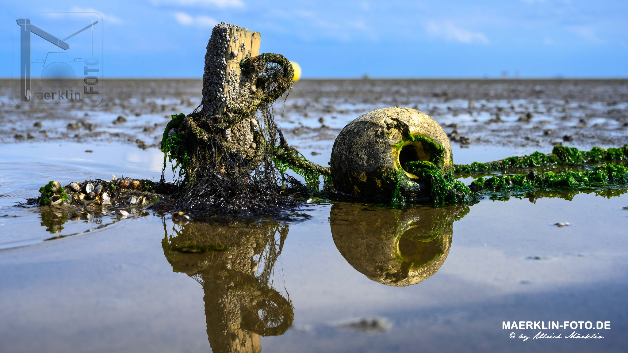 Nordseeinsel Pellworm, Wattwandern nach Hallig Süderoog