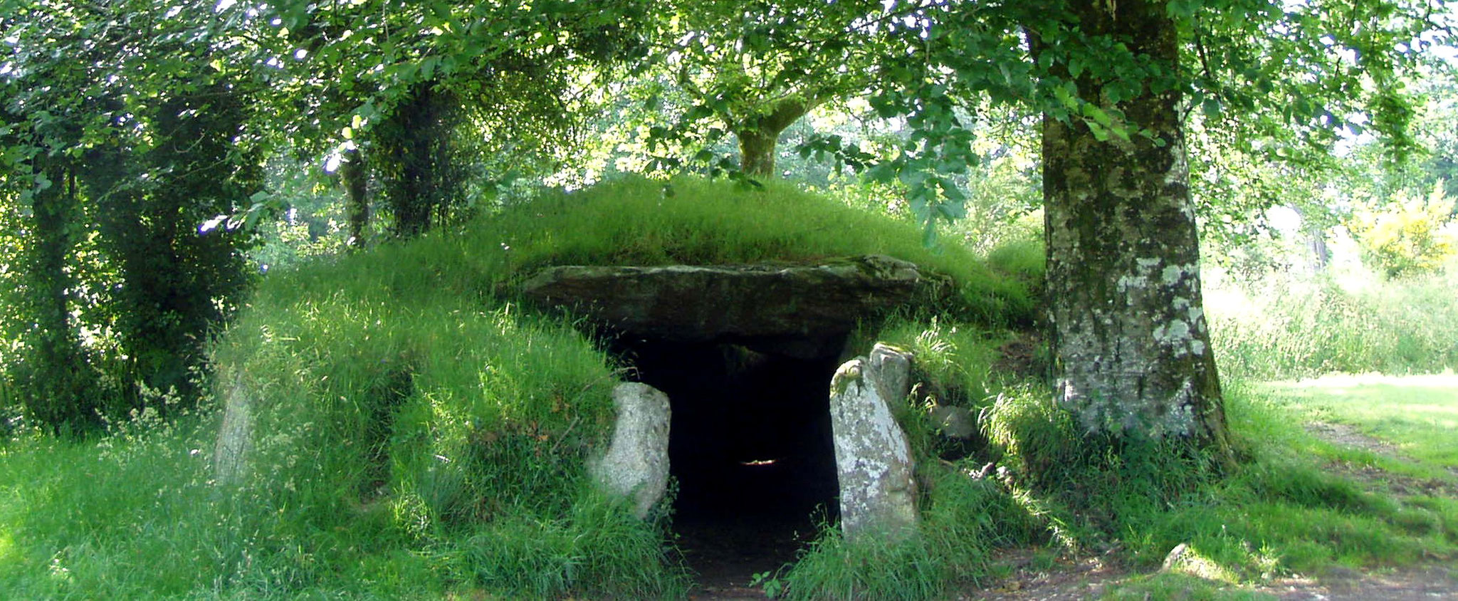 Brennilis : Le dolmen de Ti ar Boudiged