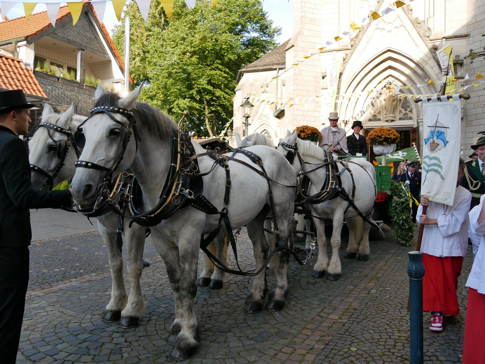 Große Identracht - Pferdegespann Friederike Löppenberg, Wadersloh
