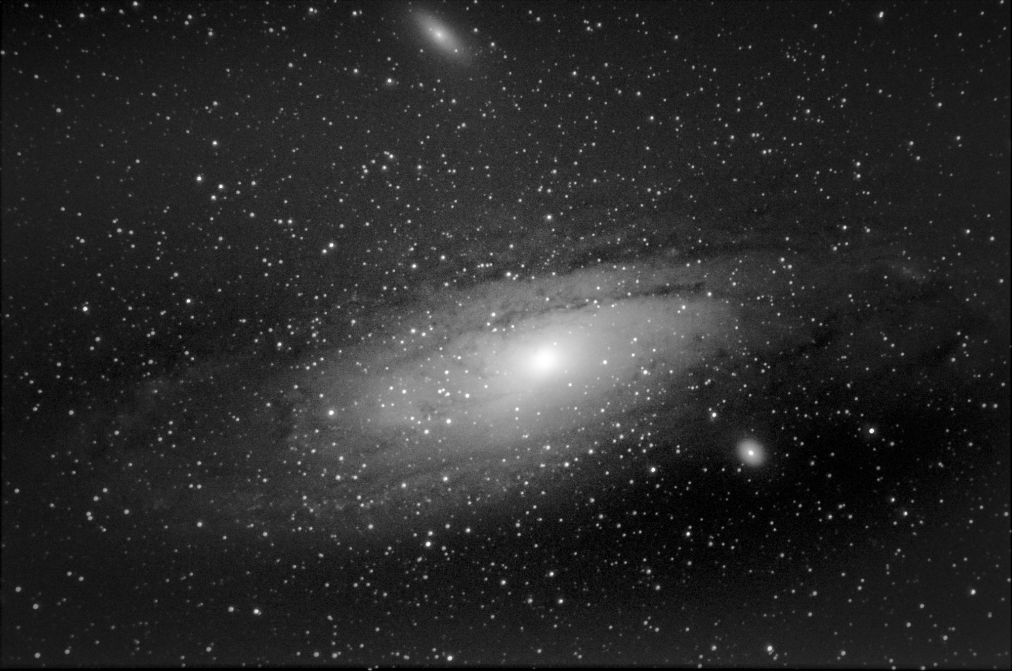 M31 - galaxie d'andromède (19 poses de 25 s à 3200 iso- 10 darks- pas de flat -Loïc  THULLIEZ- lunette achromatique 150/750 / HEQ5 motorisée non guidée/APN pentax K50  - traitement iris/lightroom) passé en N&B sous lightroom, à reprendre ss IRIS