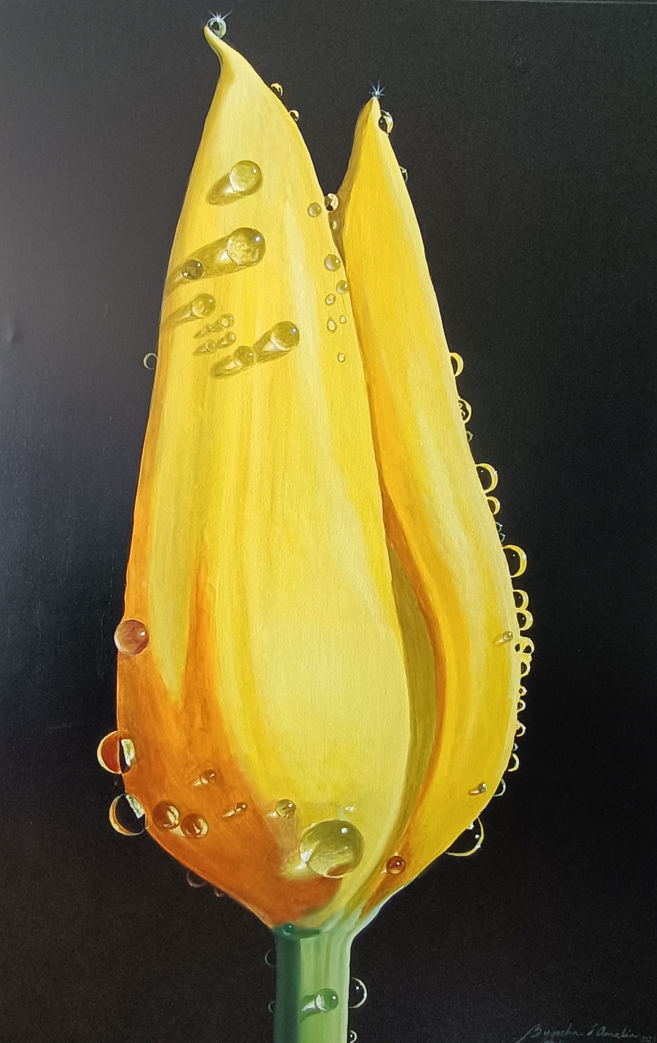 4  - Tulipan y gotas de rocio,  115cm x 75 cm, 2021.  Prijs: 2500 euro.