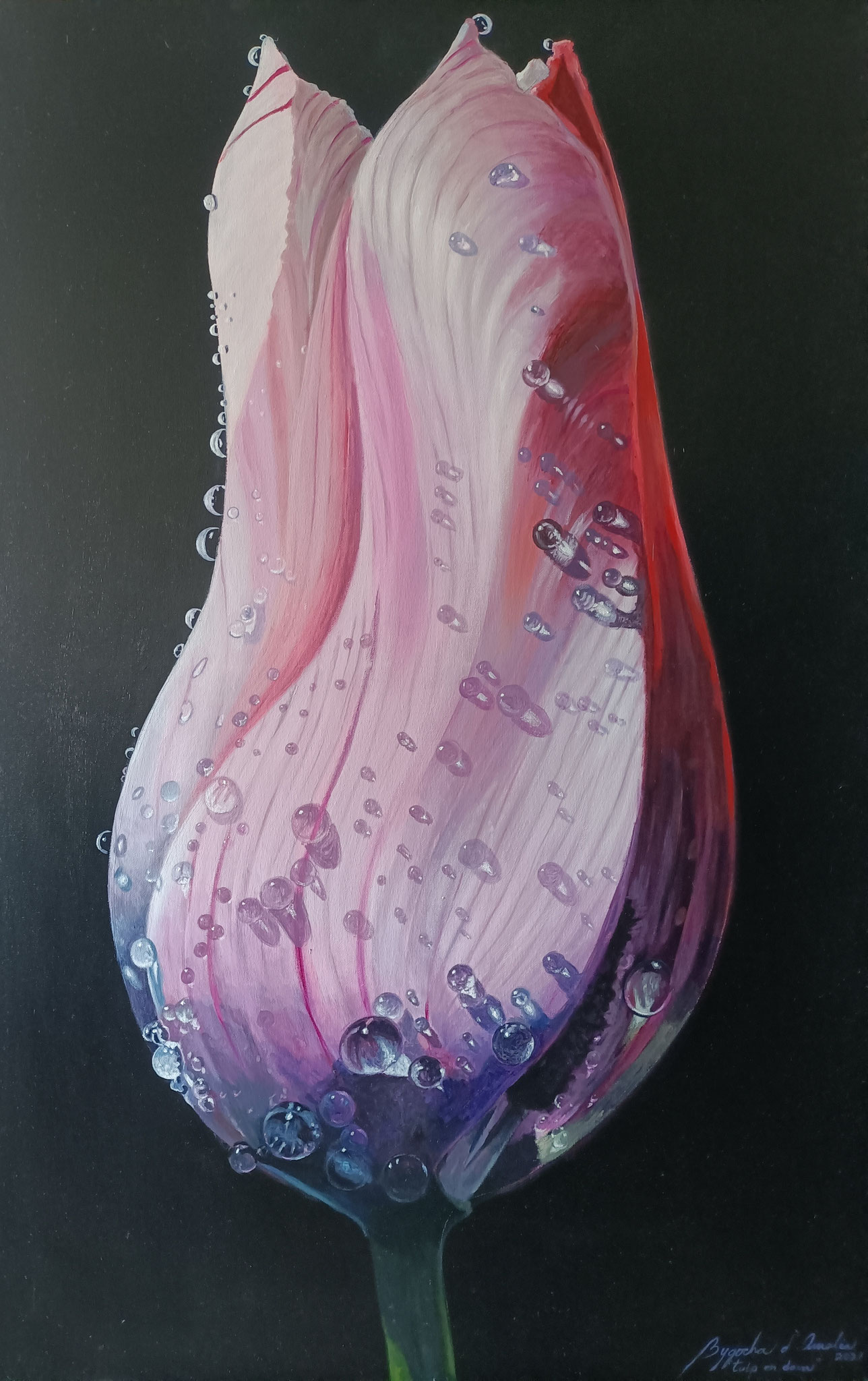 8  - Tulp en dauw,  acrylverf op katoen,  115cm x 75cm, 2021.  Verkocht.Vendido.