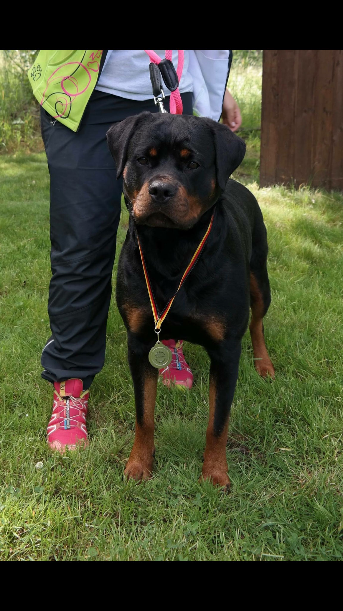 Nixe vom Wachberg II Zucht & Ausbildung von Sporthunden